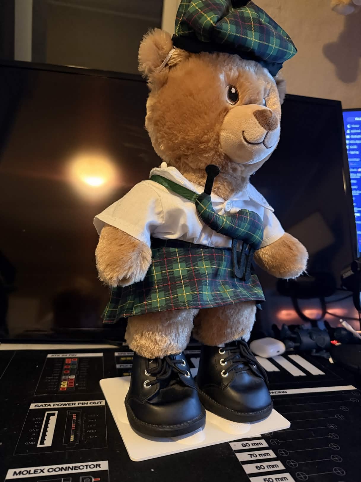 Build a bear stand paw