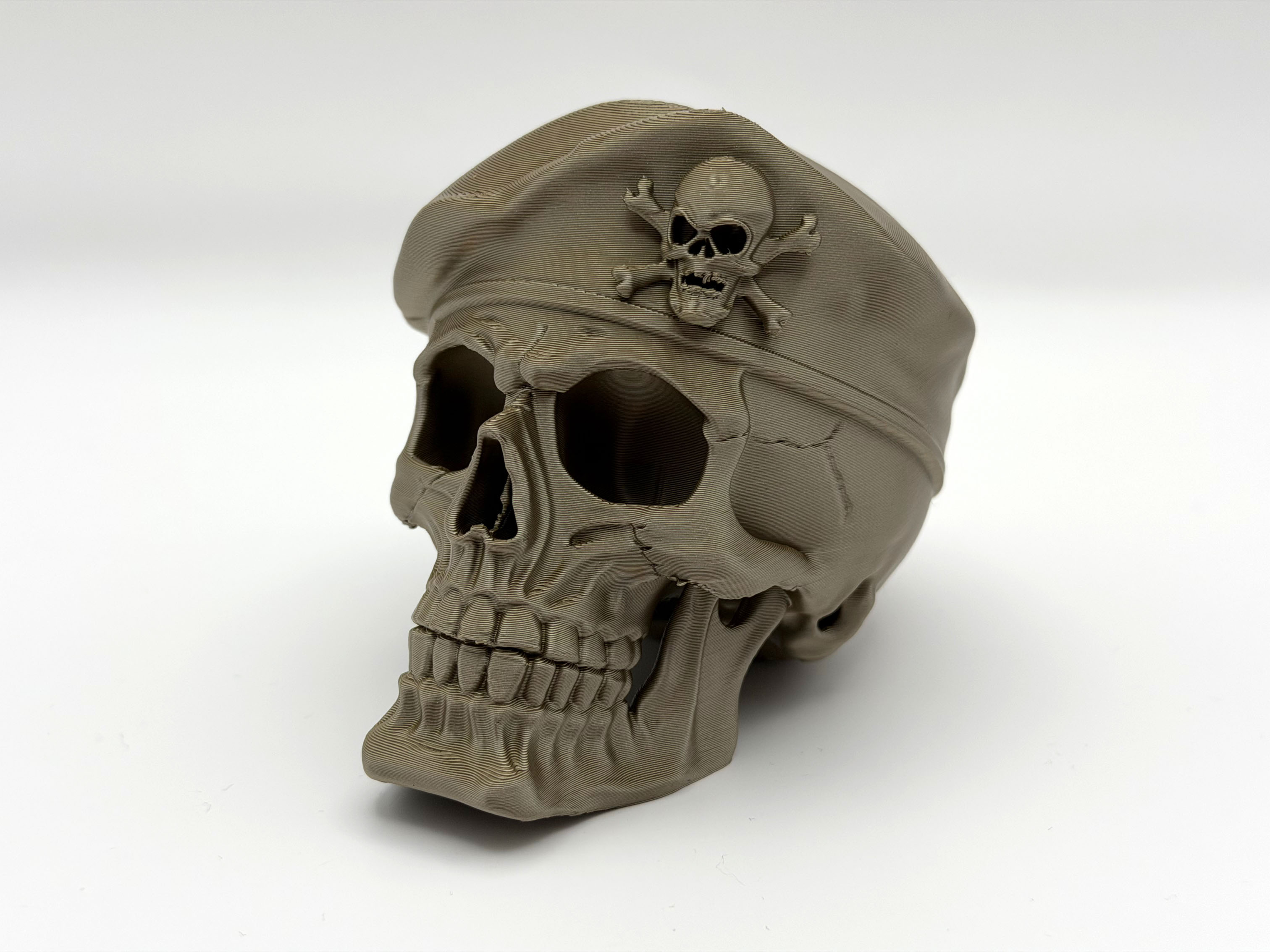 Skeletal Skull — thumbnail 2