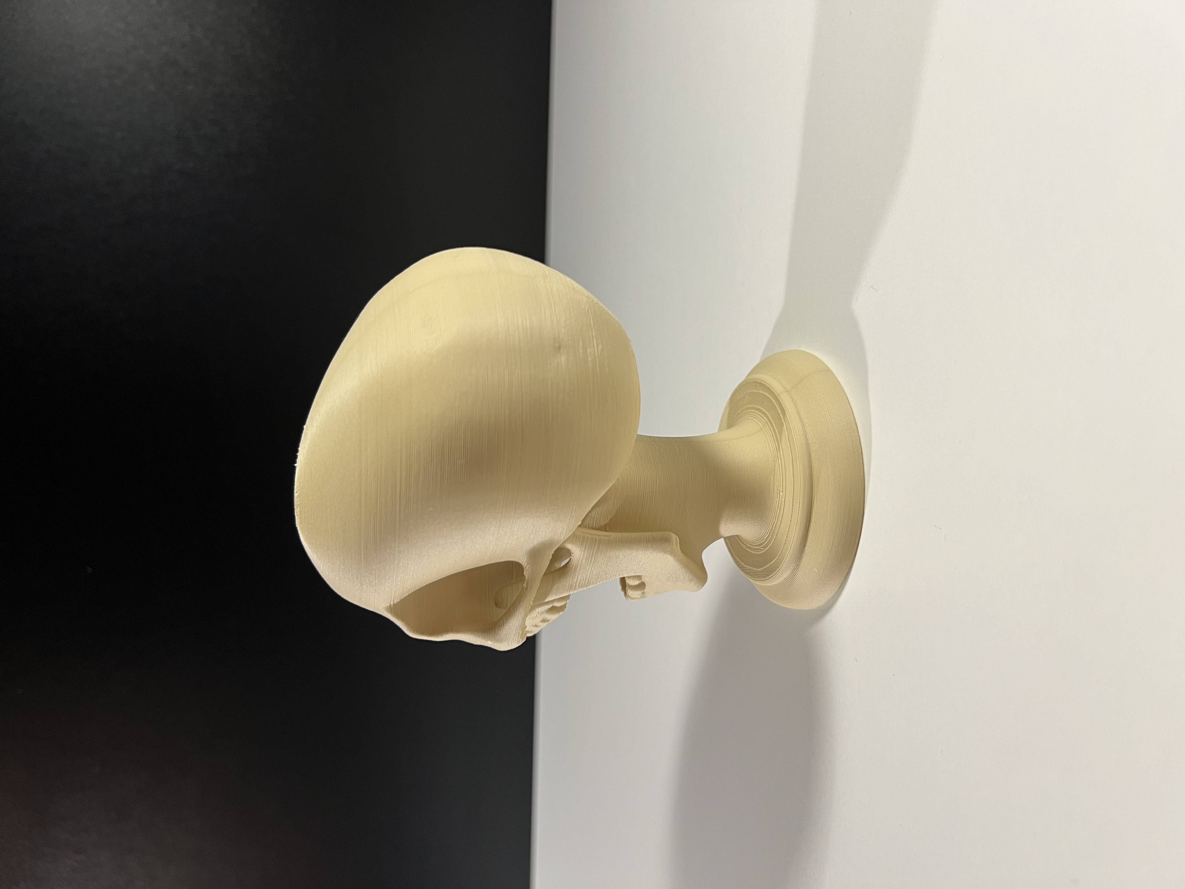 Screaming Skull — miniatura 6