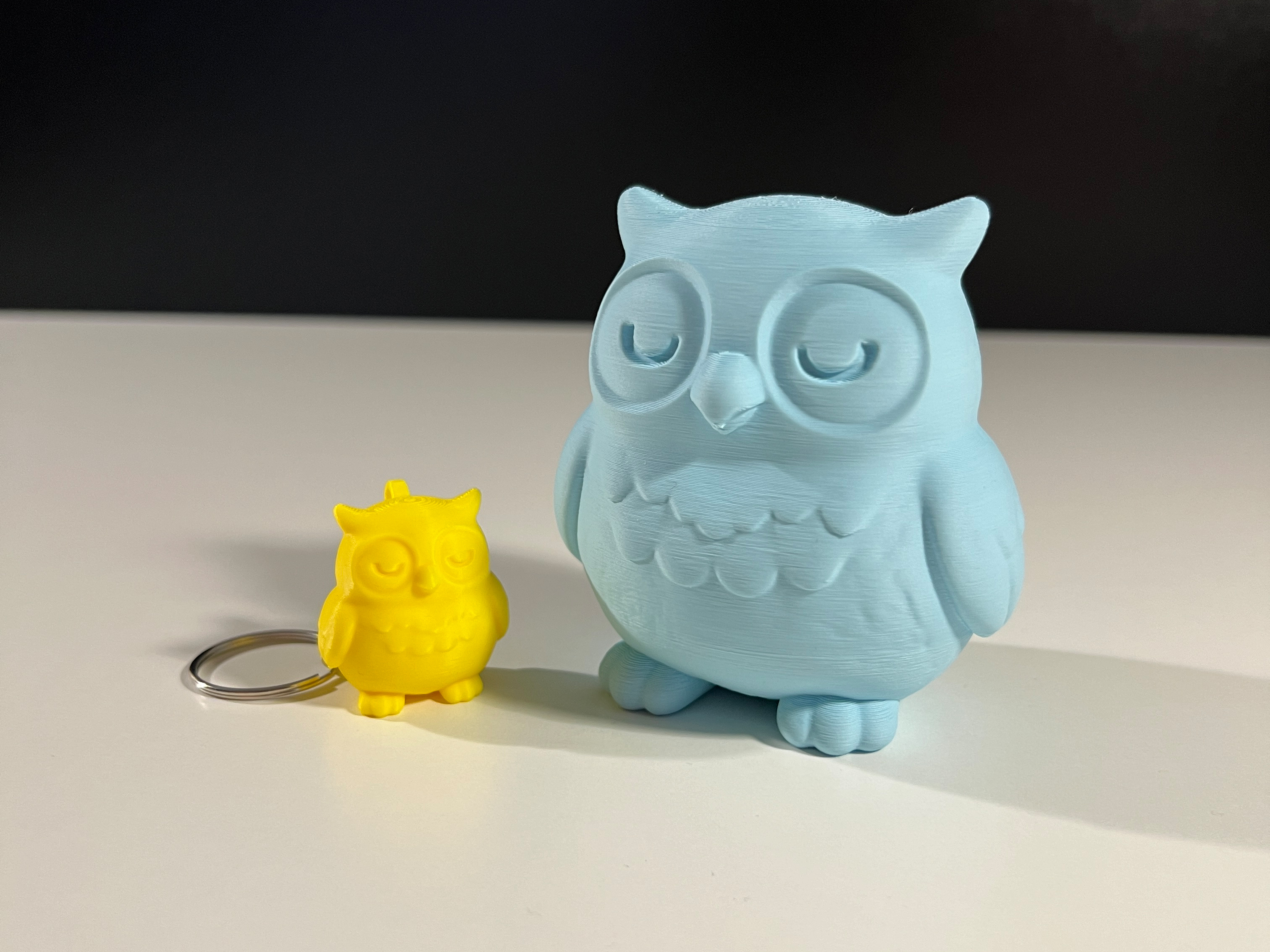 Cute Owl