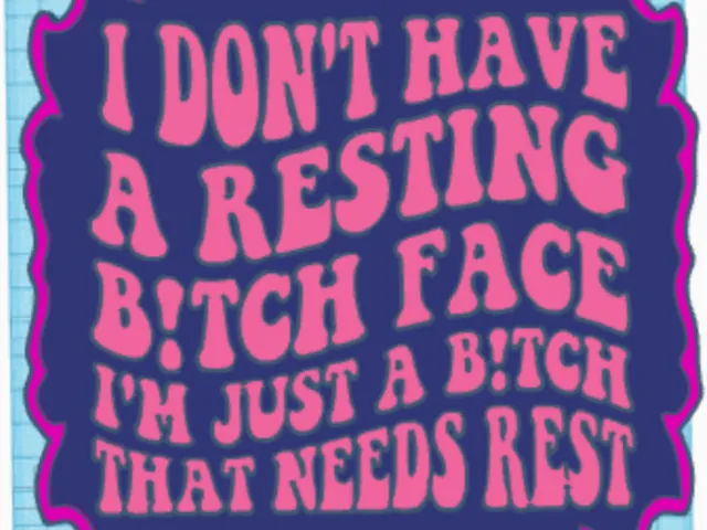 I don't have resting bitch face magnet size