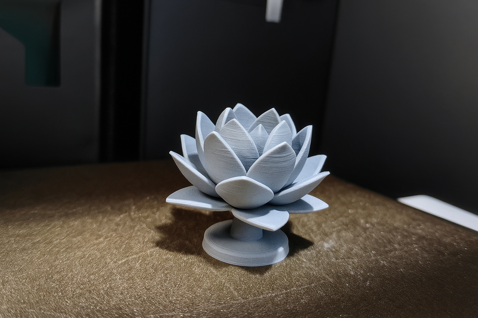 Lotus
