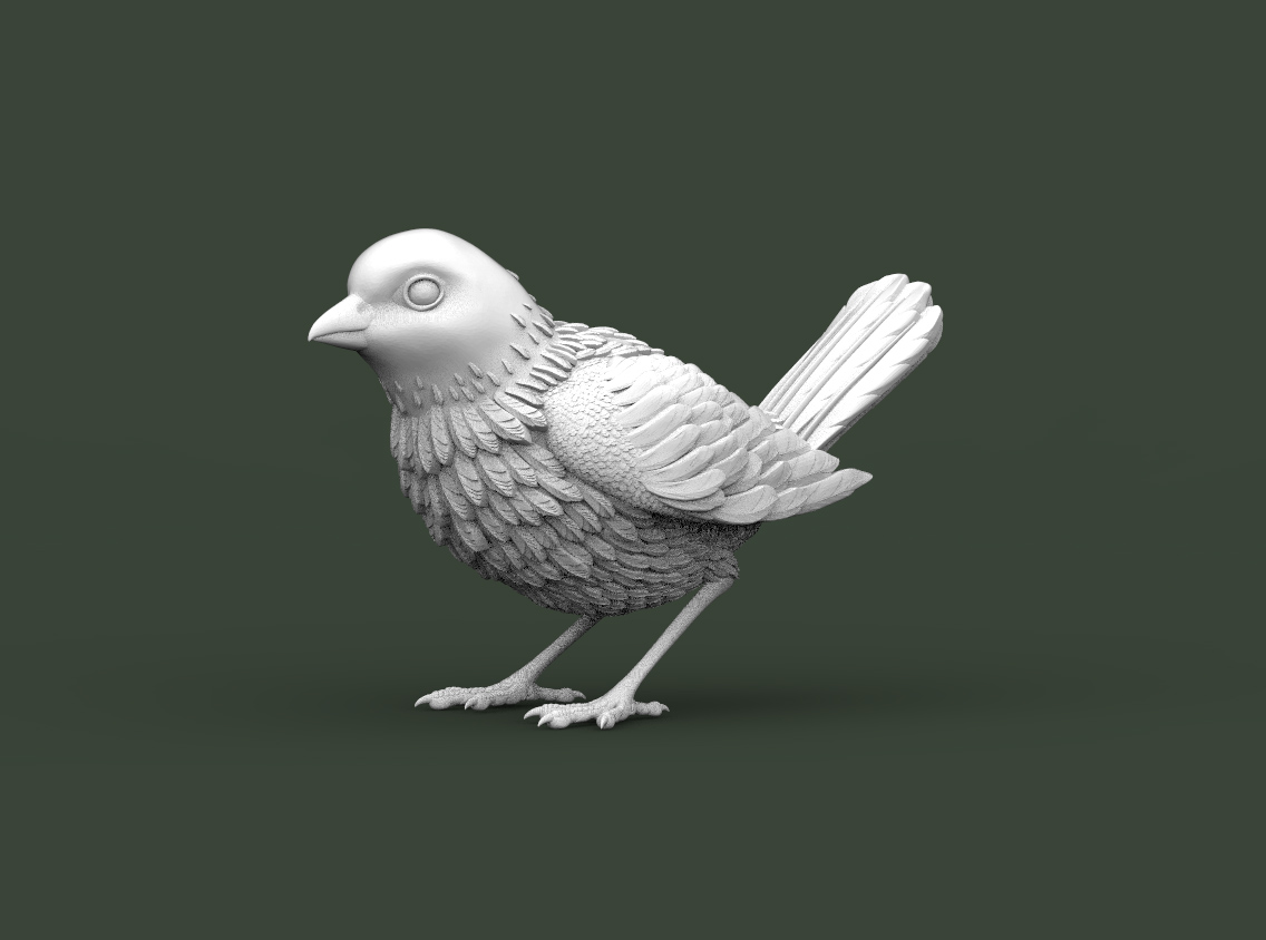 bird
