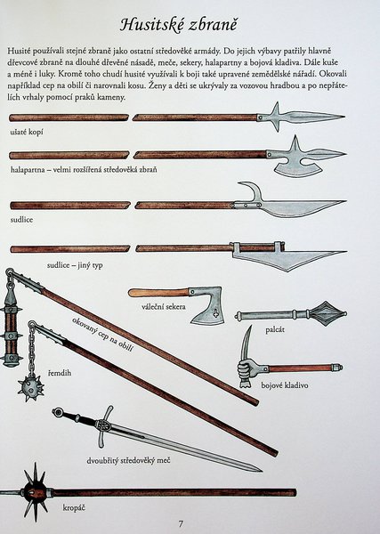 a ring with spikes for a shod flail