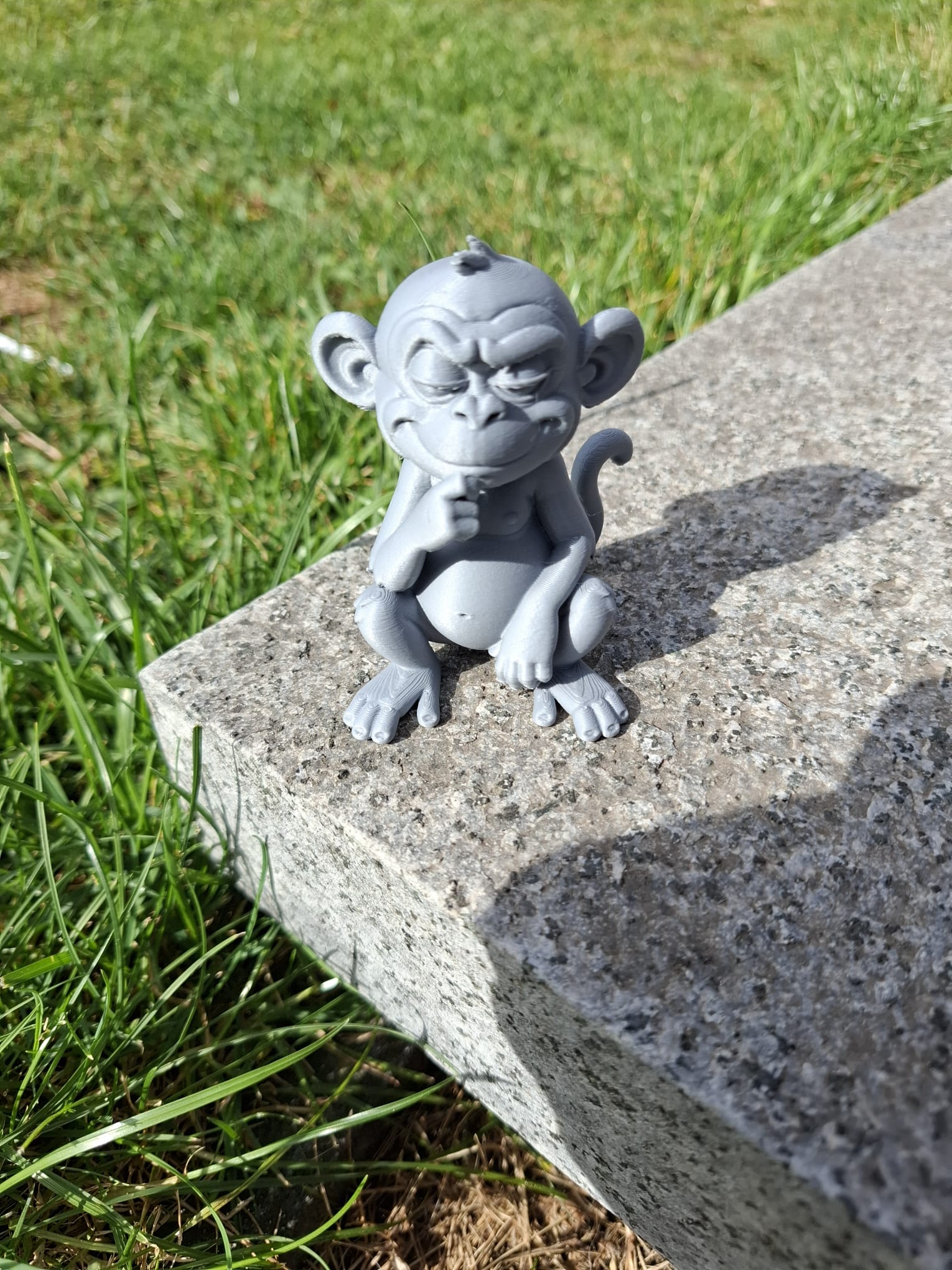 Cheeky Thinking Monkey — thumbnail 3