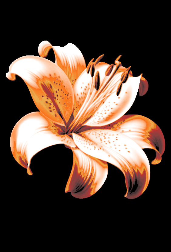 Fresh Lily " Filament Painting "