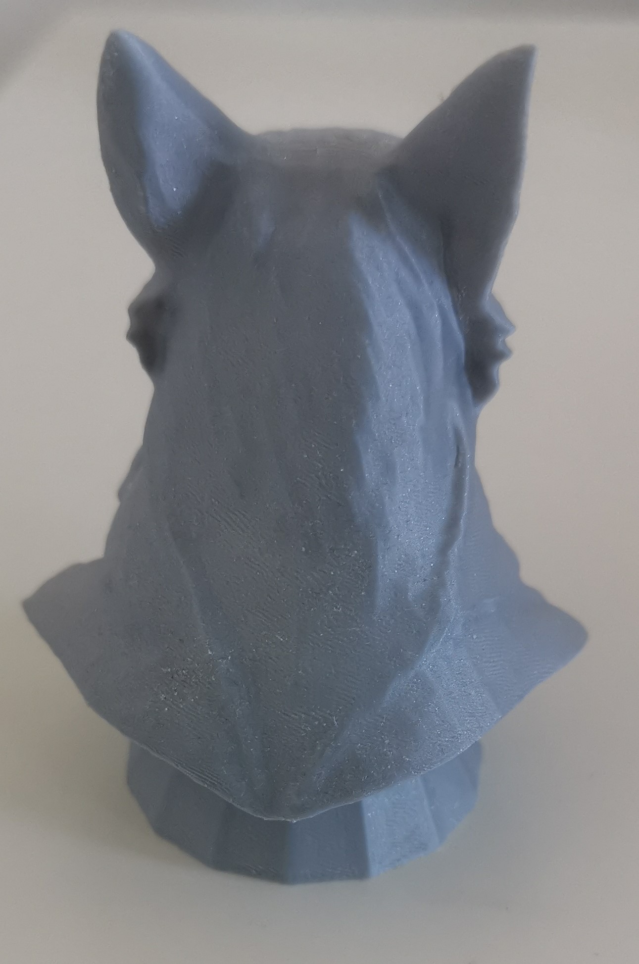 Miniatura 5 do modelo 3D Wolf bust (Luma AI Generated)