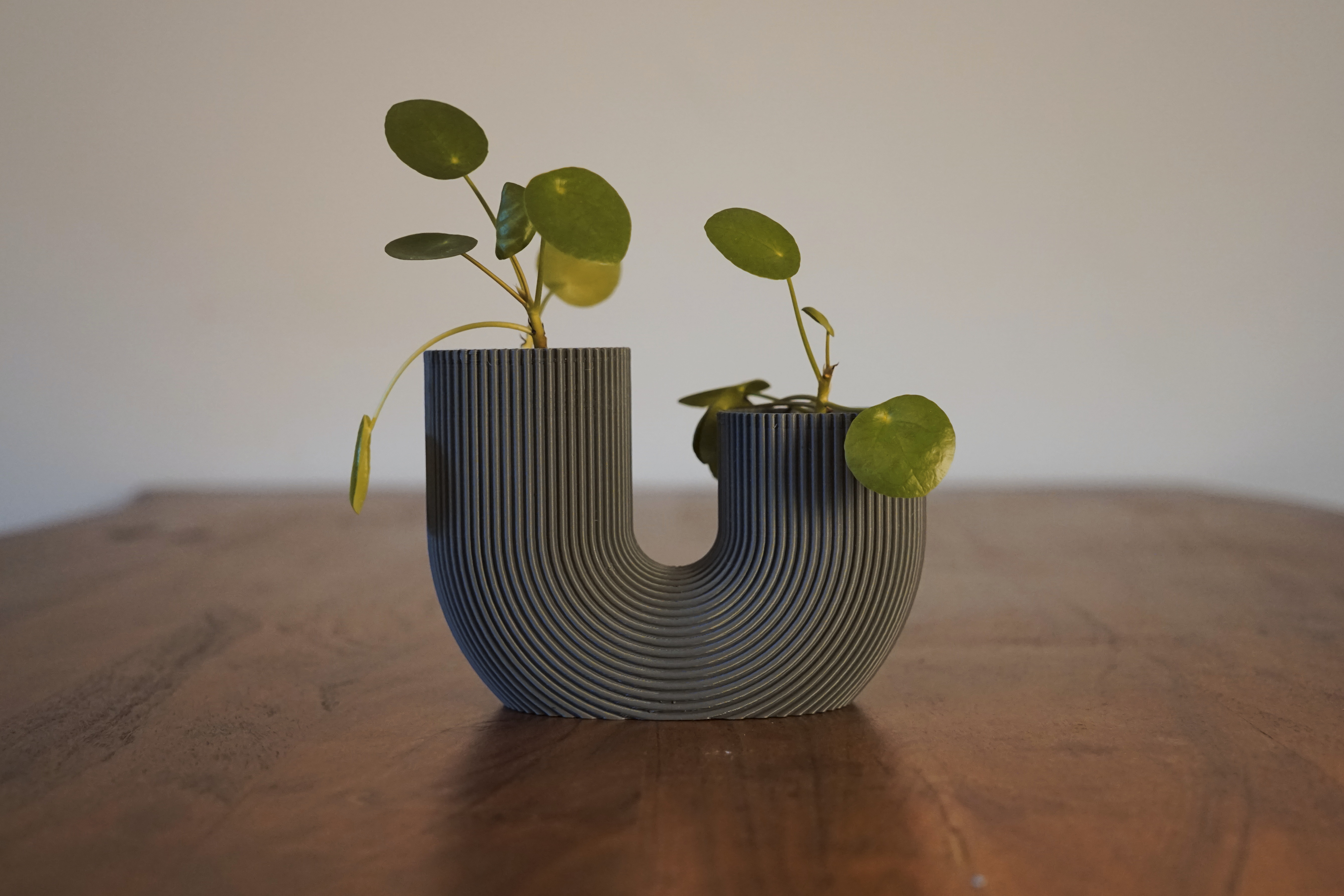 Modern Flowerpot