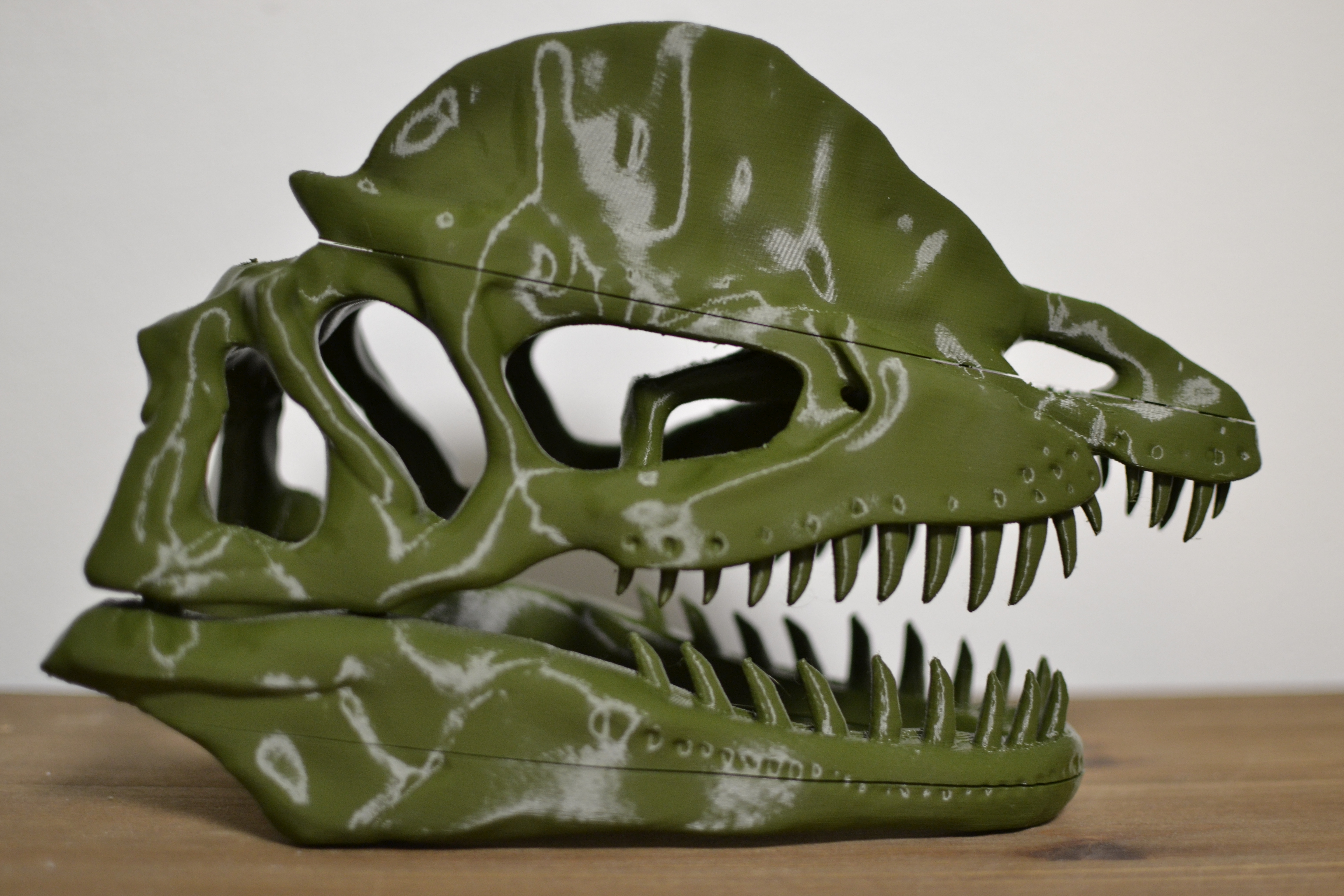 Miniatura 3 do modelo 3D Dilophosaurus skull