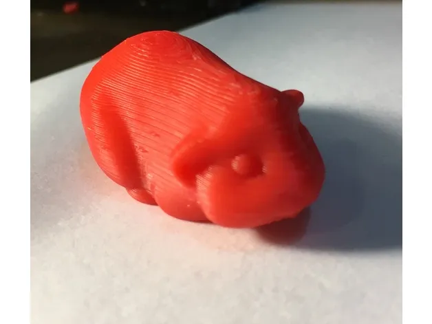 Guinea Pig