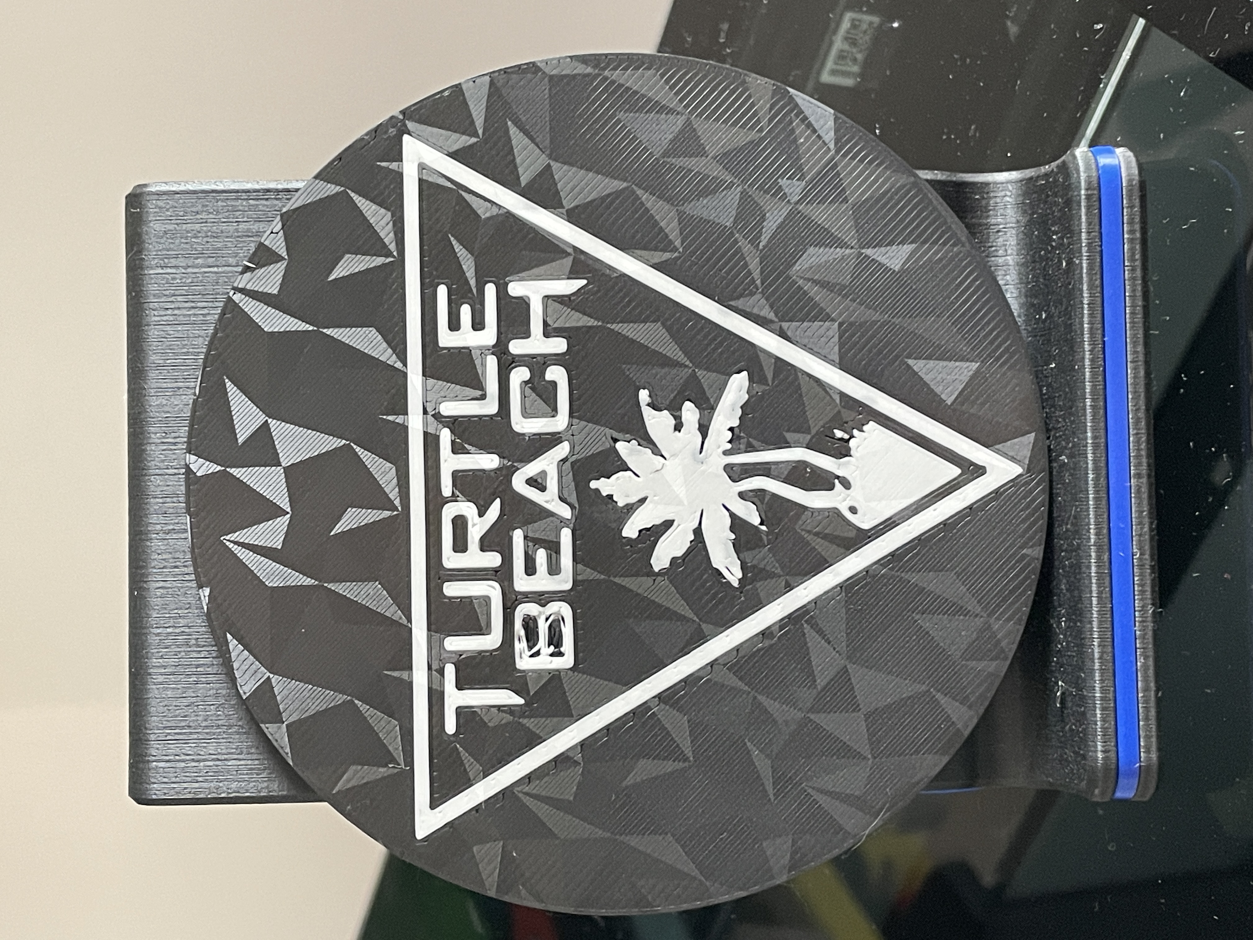 Coaster Turtle beach