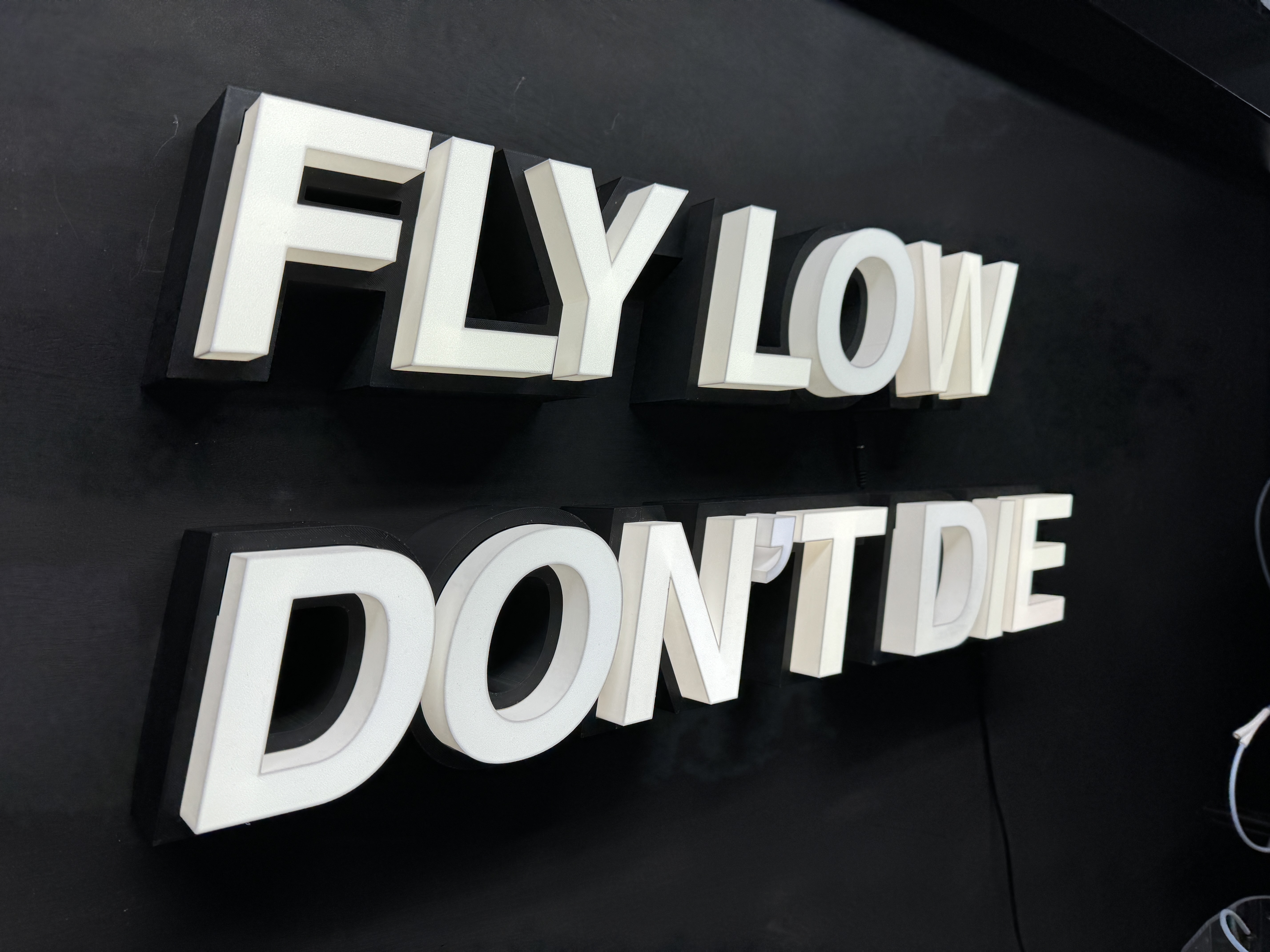FLY LOW DON'T DIE Light Up Sign