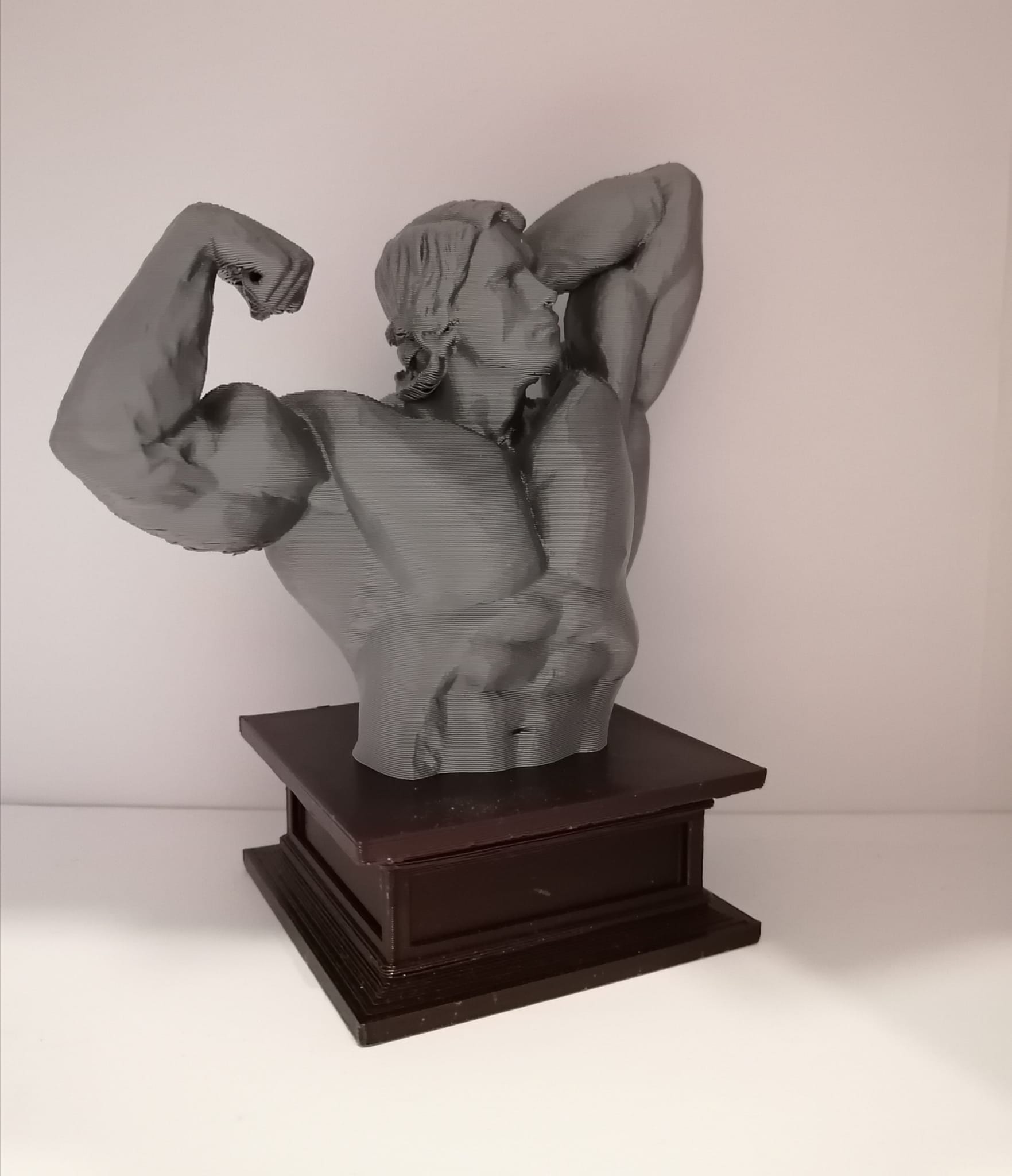 Arnold Schwarzenegger - Busta