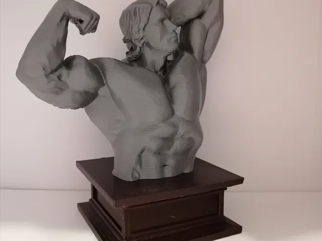 Arnold Schwarzenegger - Busta