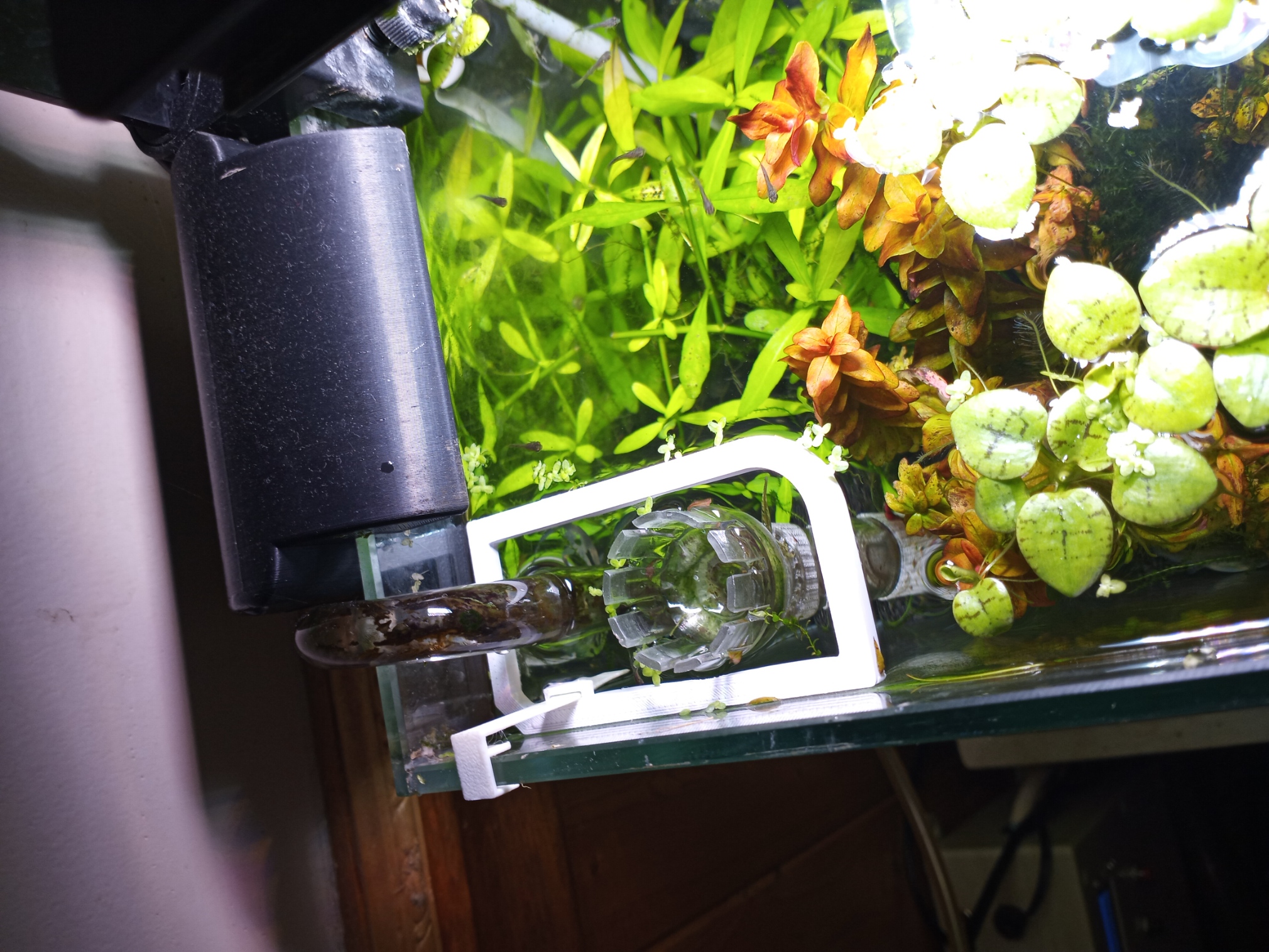 Nano aquarium floater guard V2.