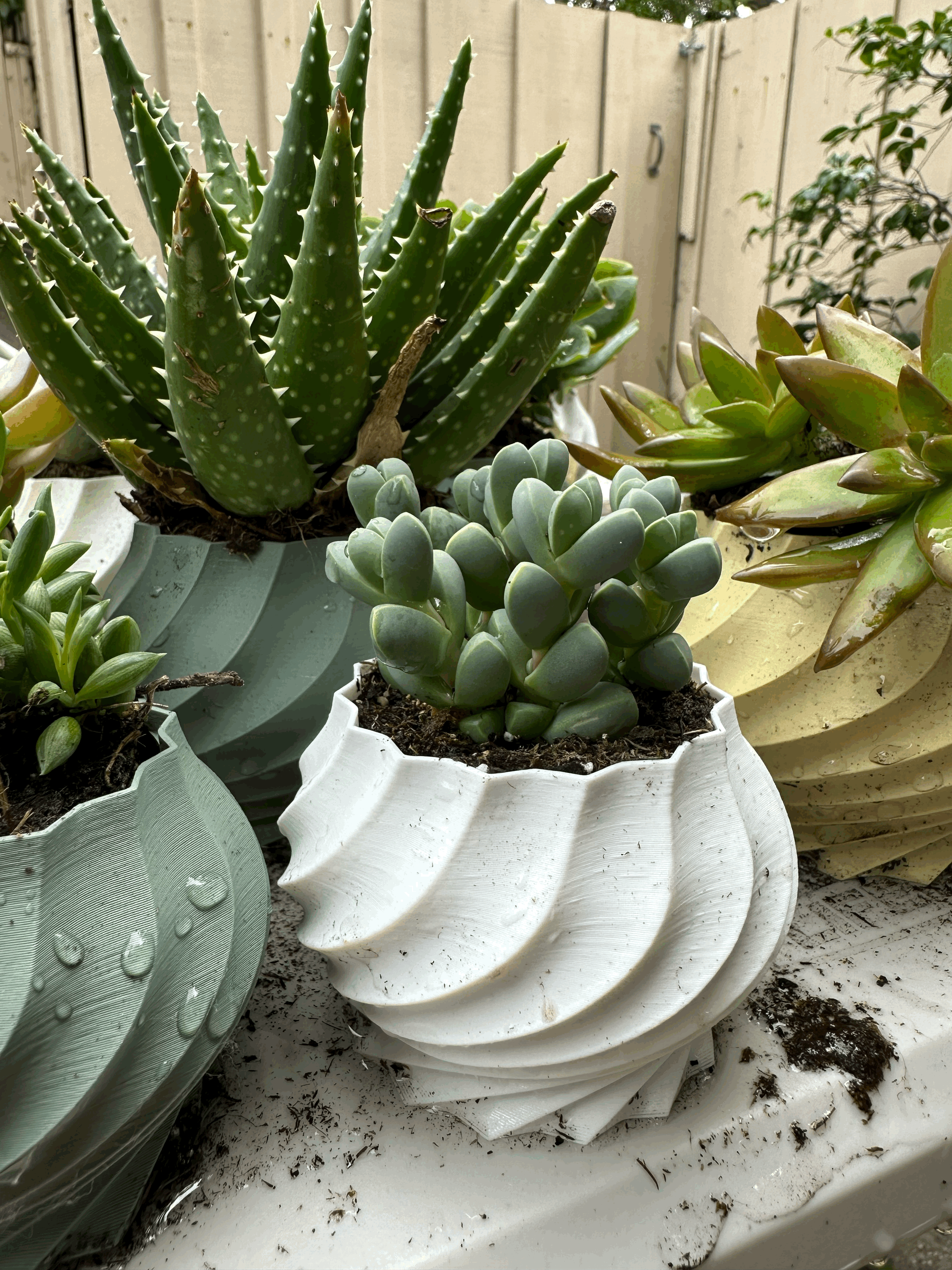 Twisted Plant Pot Collection (5 varieties)