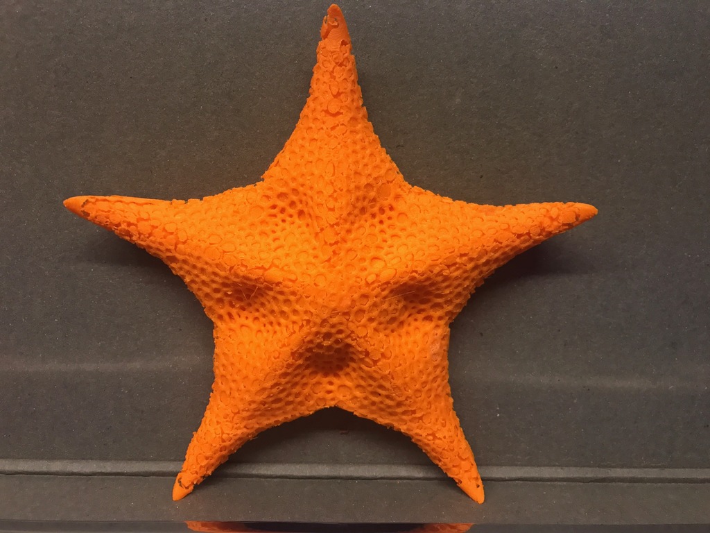 Starfish model