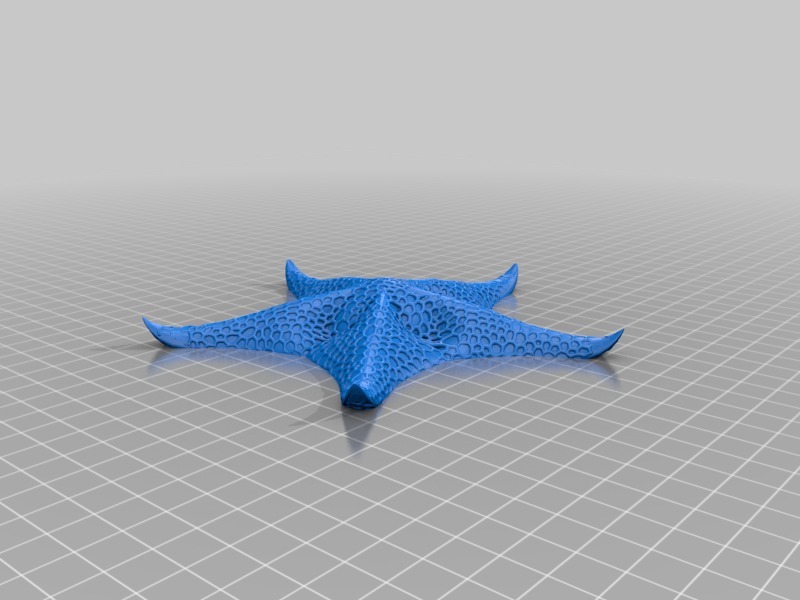 Miniatura 4 do modelo 3D Starfish model