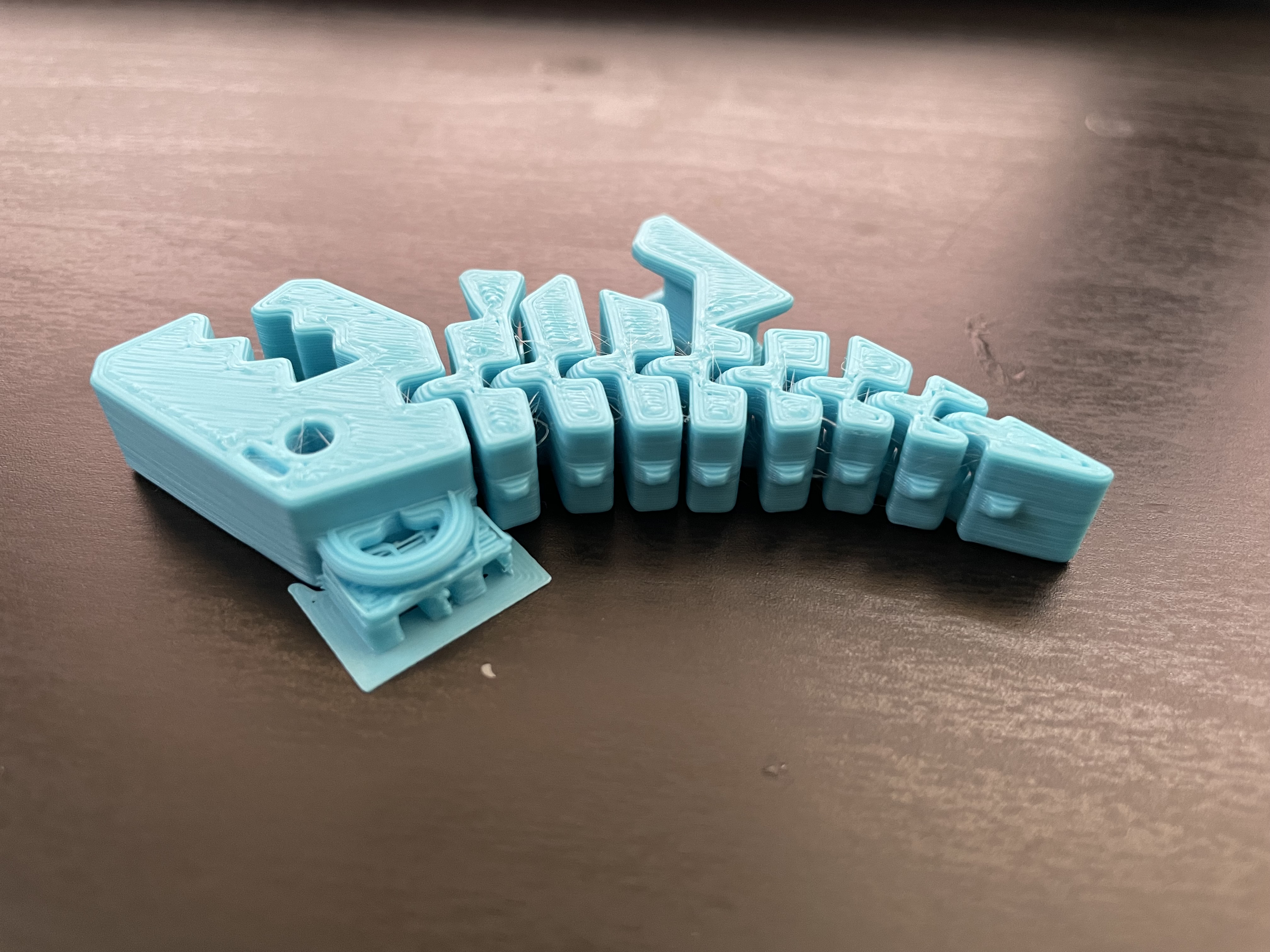 Miniatura 3 do modelo 3D Flexi Rex Keychain