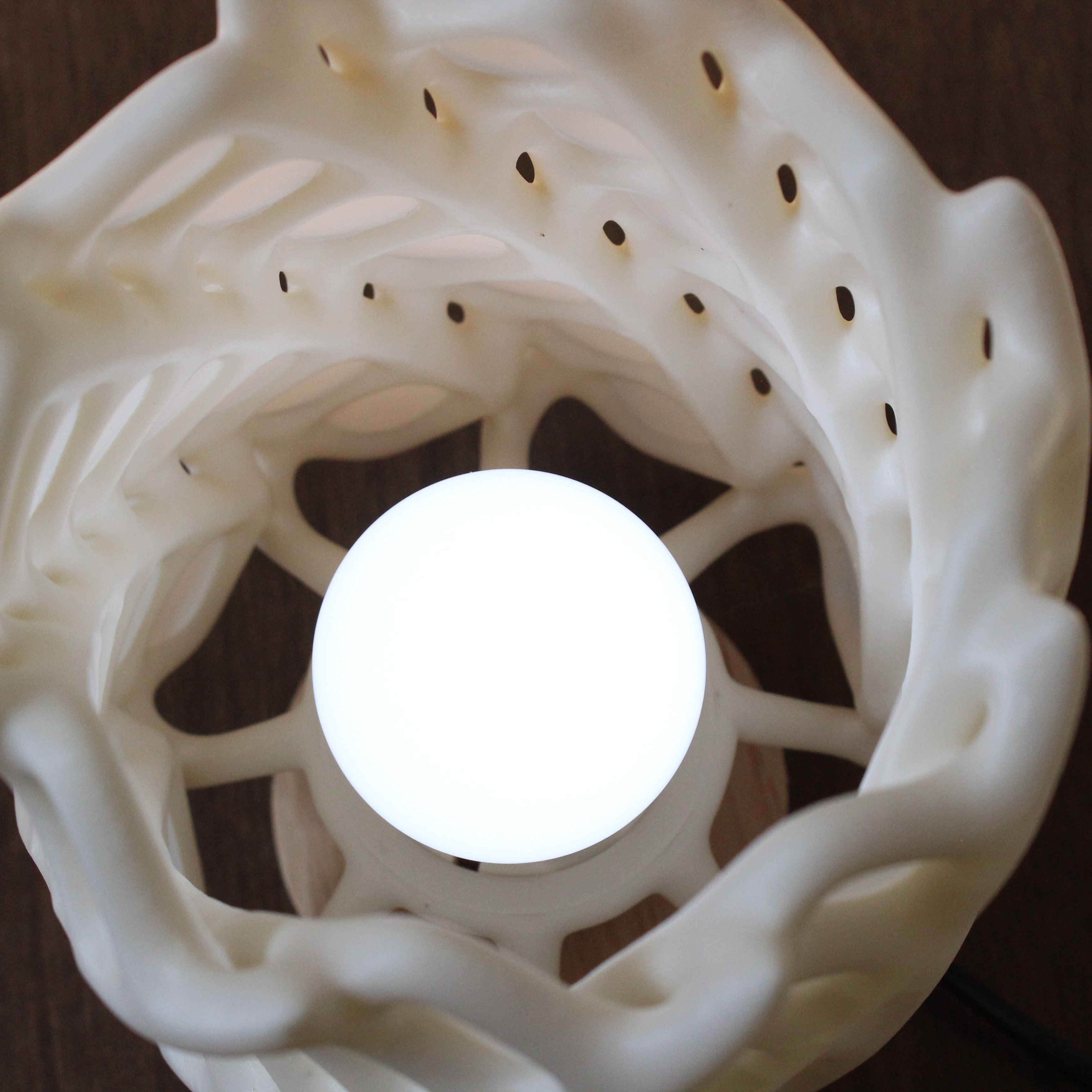 Cholla Cactus Lamp — miniatura 7