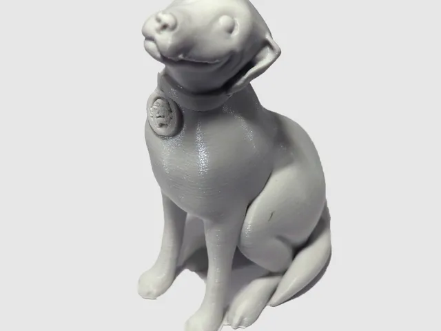 Printed Solid Jessie