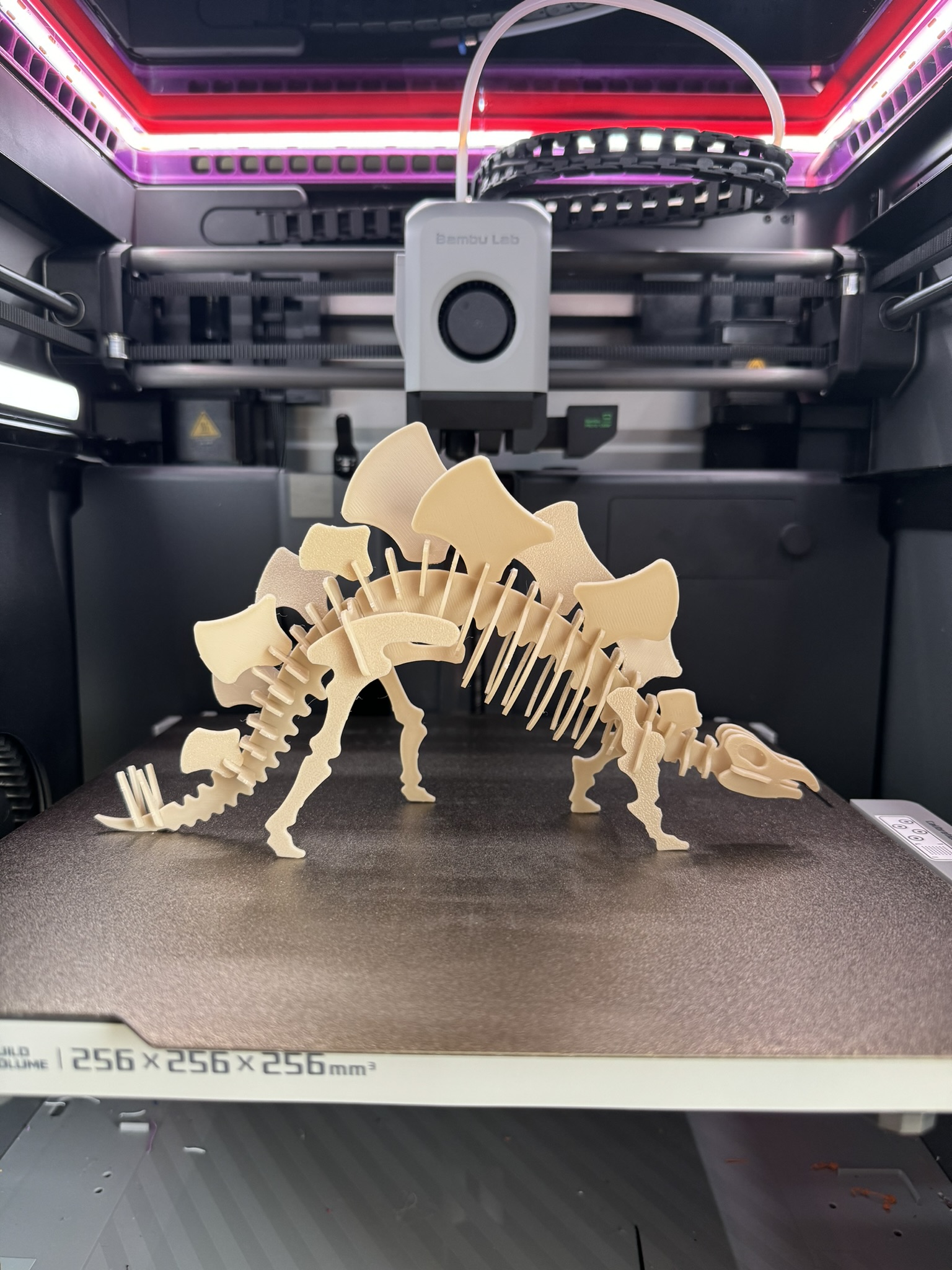 Stegosaurus 3D Puzzle Kit Card by Turbospeed | Download free STL model ...