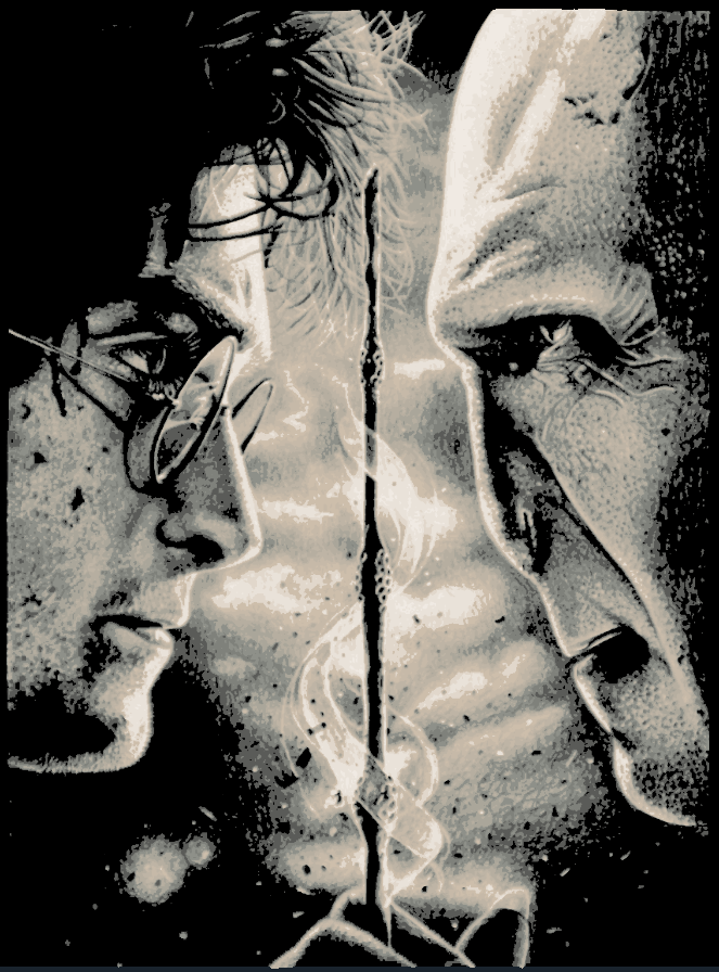 Hueforge - Black and White Harry Vs. Voldemort
