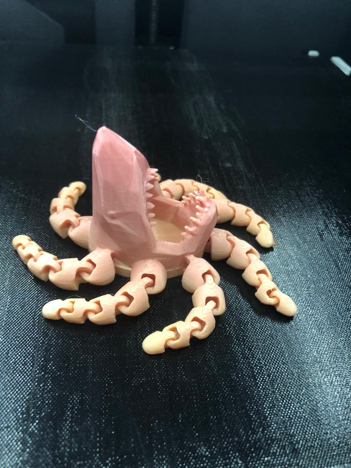 Miniatura 2 do modelo 3D SharkTopus