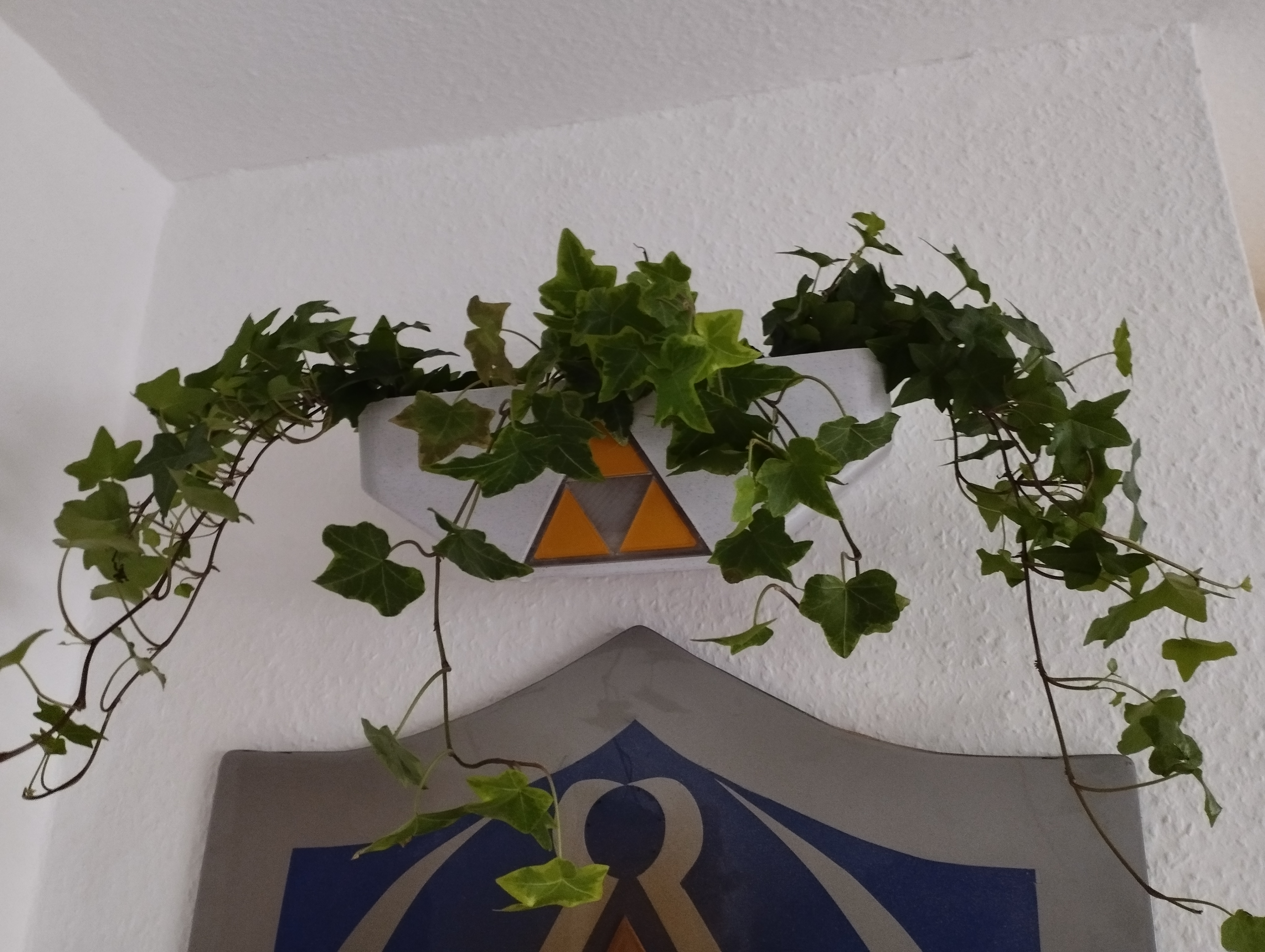 wall-mounted  planter pot Zelda  inspired
