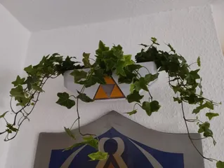 wall-mounted  planter pot Zelda  inspired