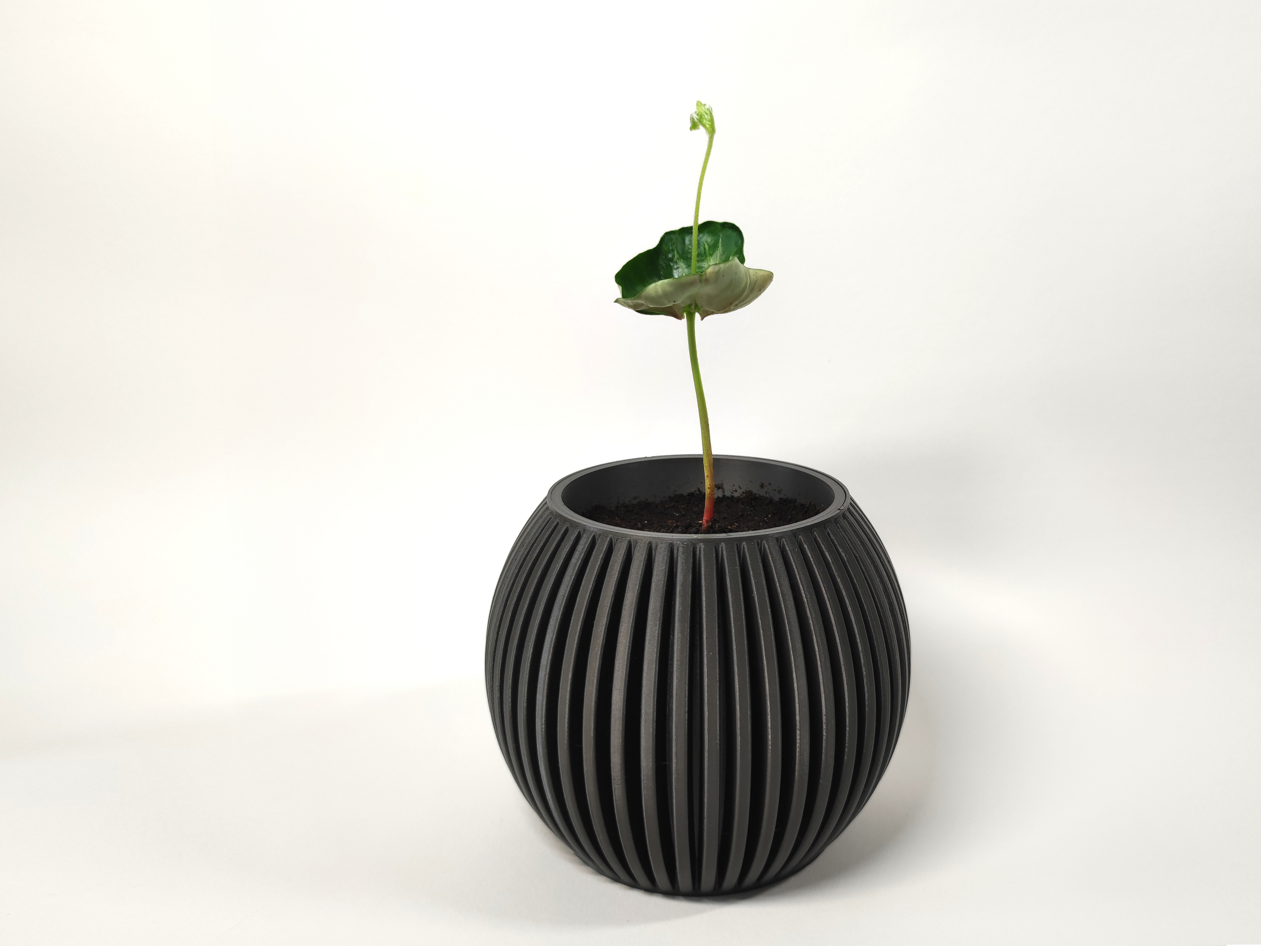 Planter with dripping compartment