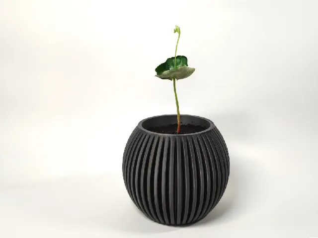Planter with dripping compartment