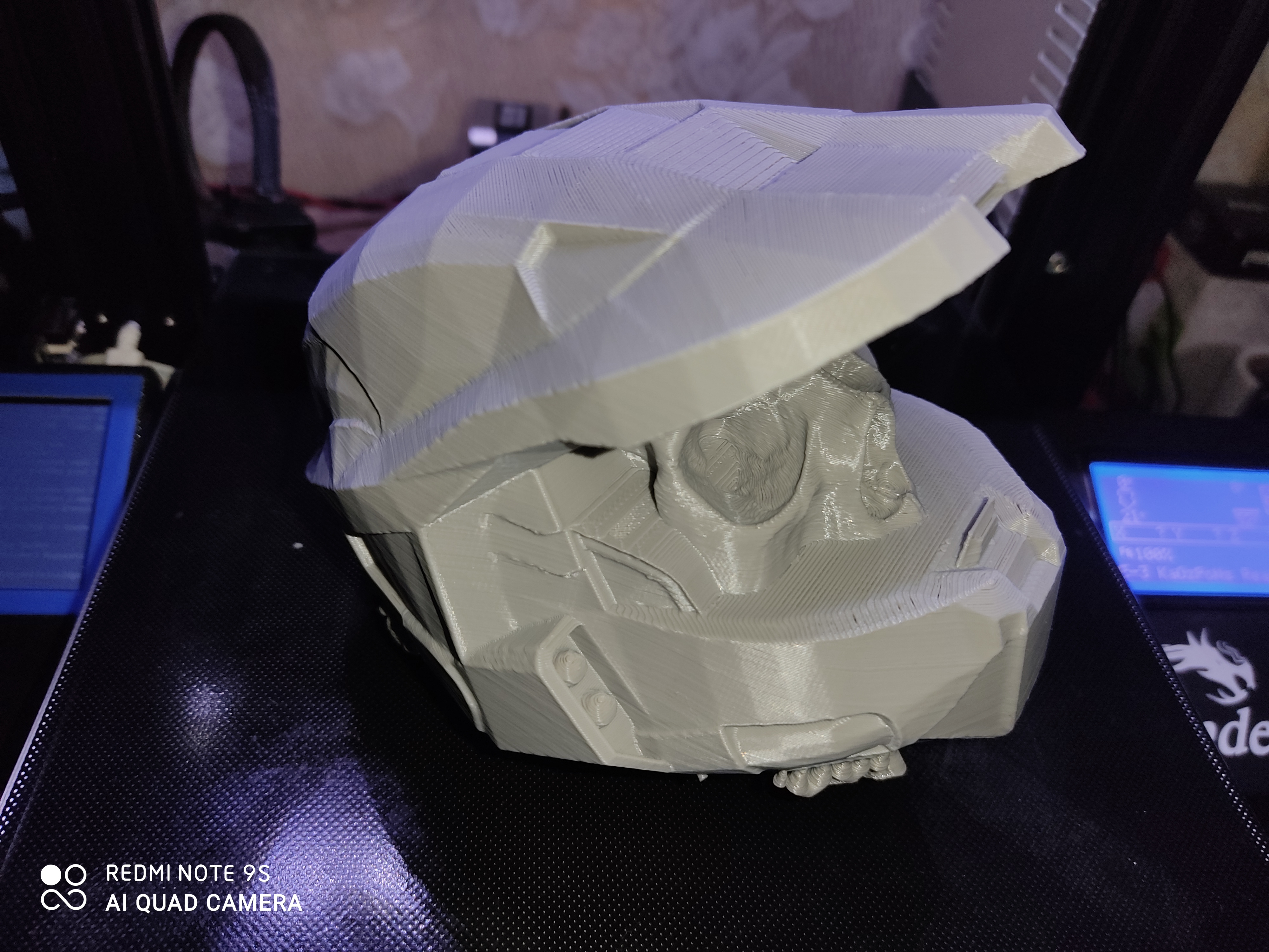 Master Chief Helmet Skull