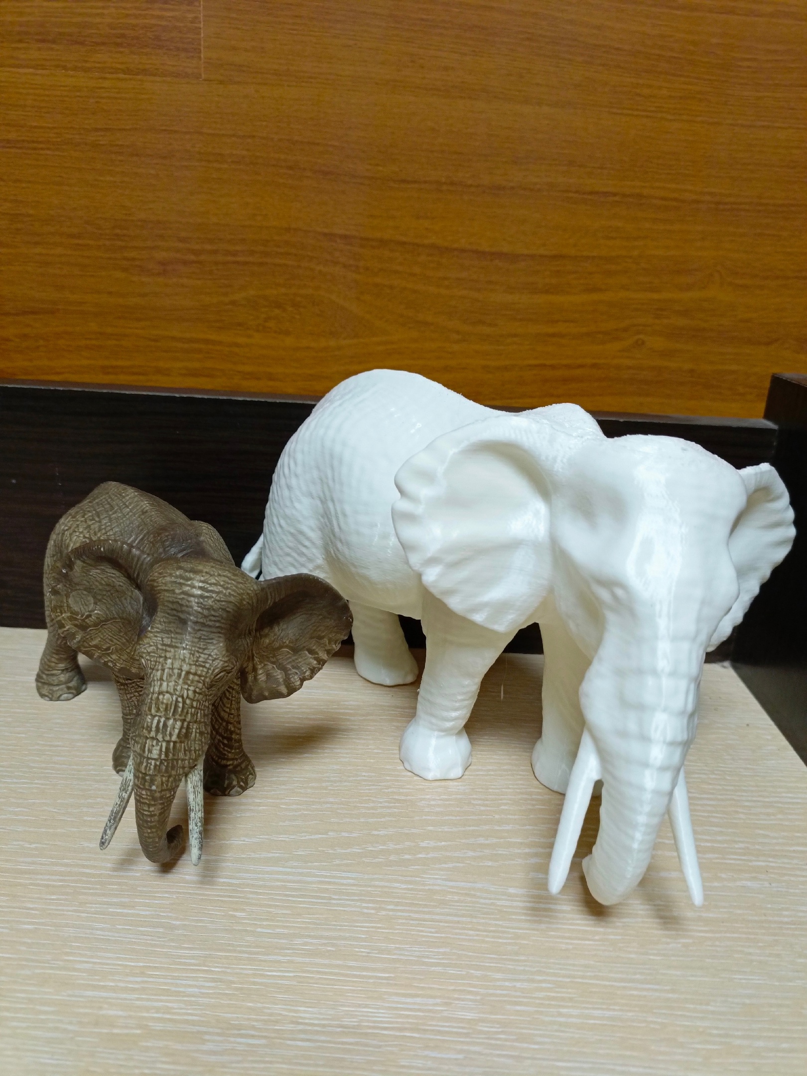 Elephant