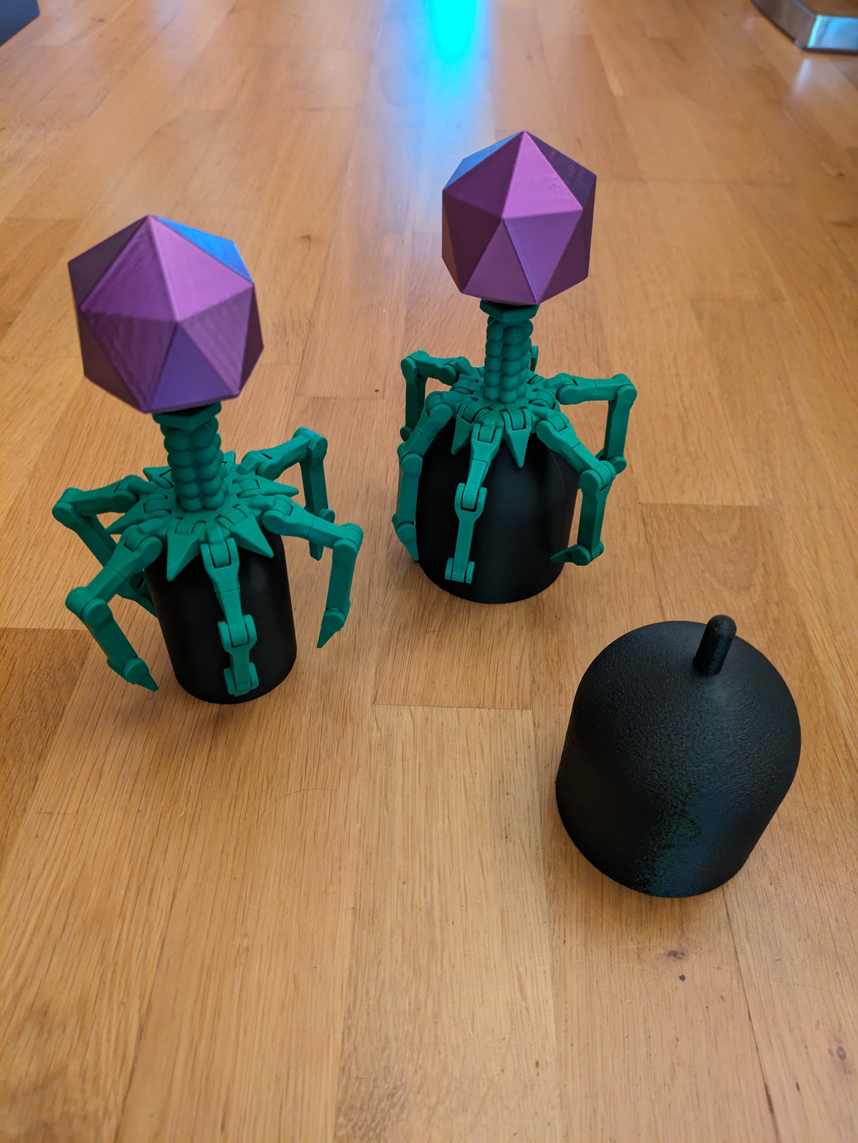 Stand for Cute Printed in Place Support Free Flexi Bacteriophage T4