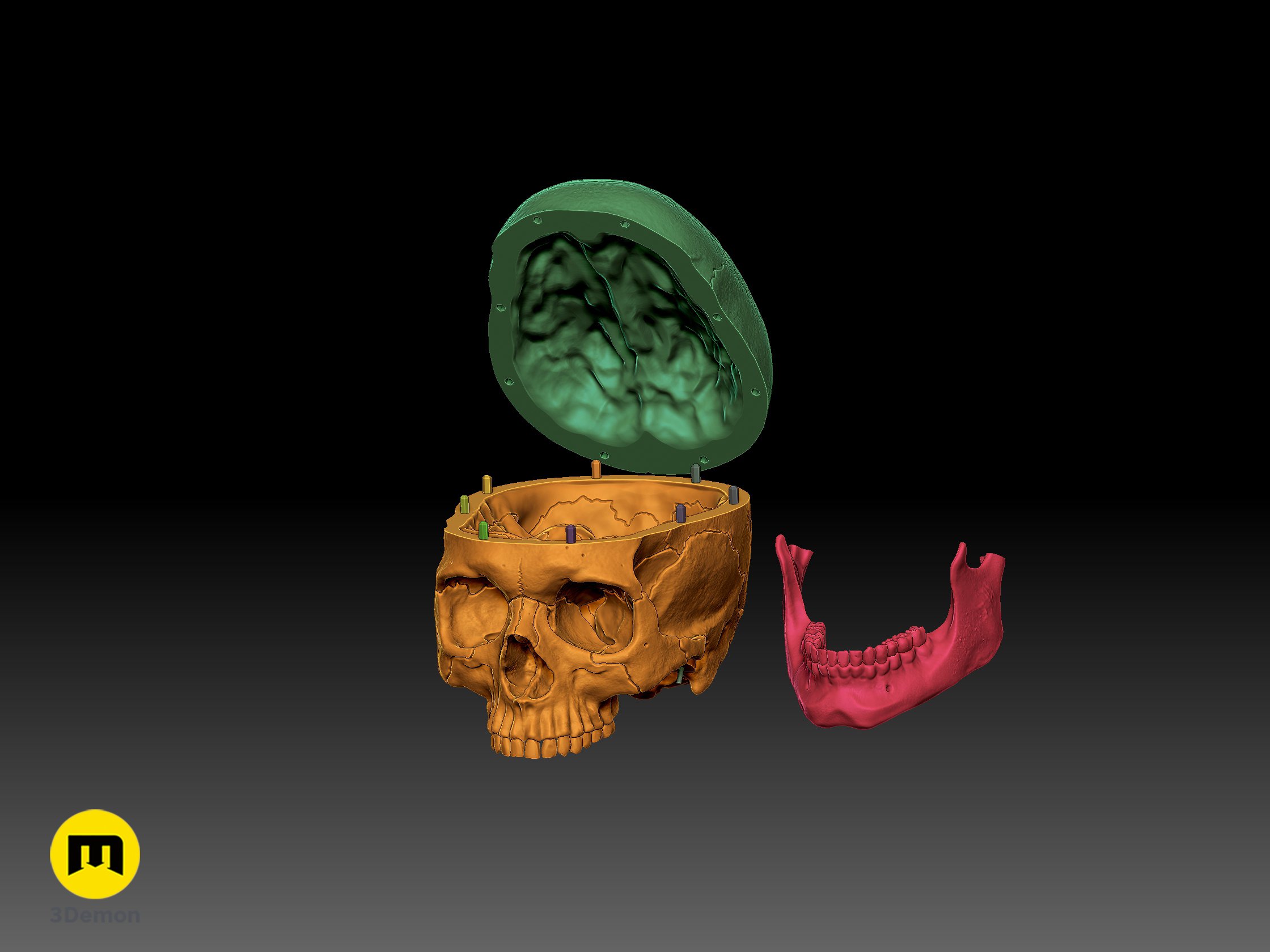 Skull