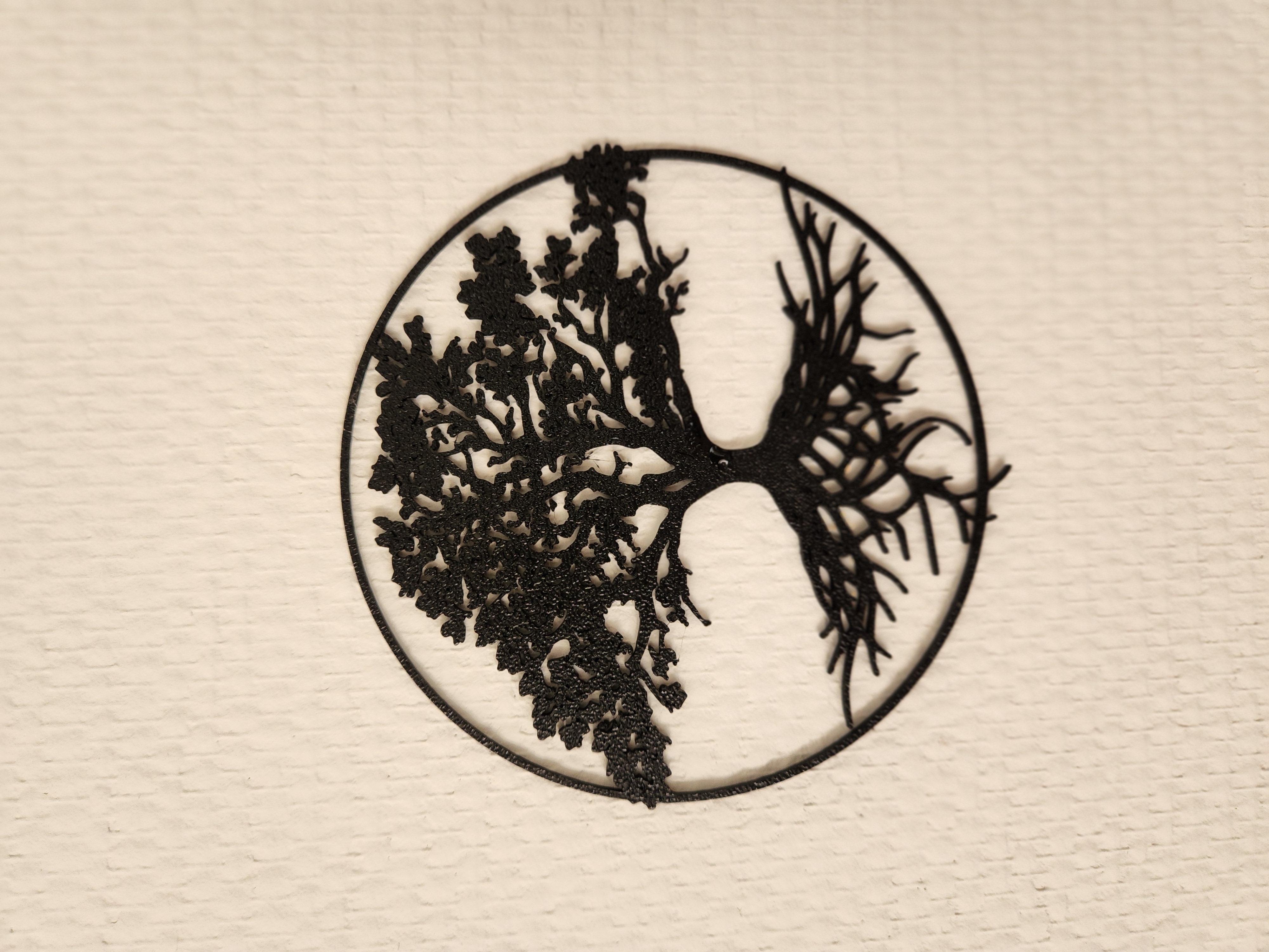 Rooted tree - Wall Art