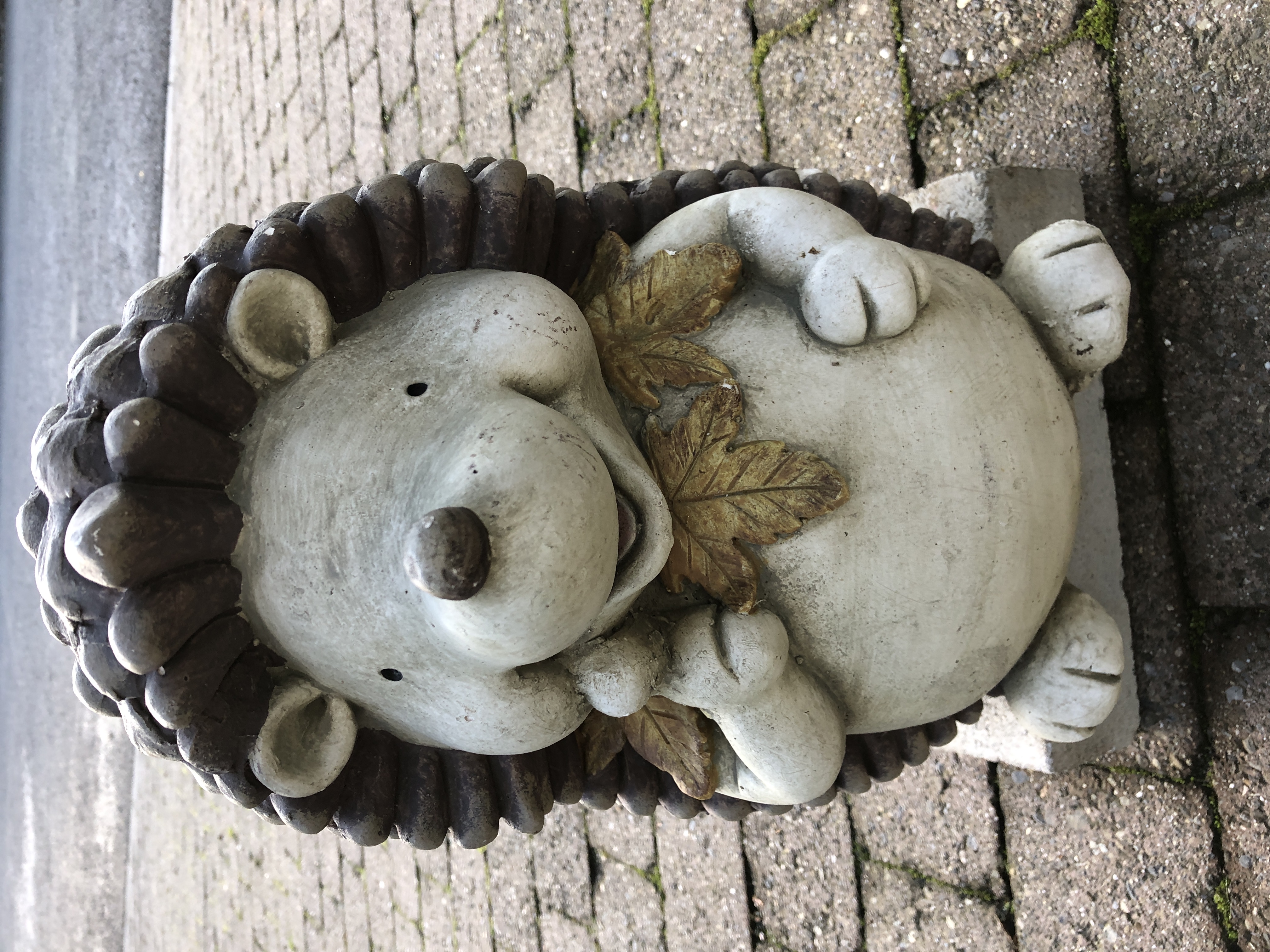 Igel