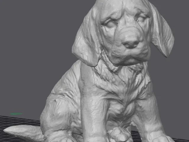 Little Dog 2