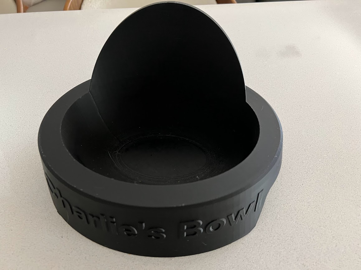 Cat Bowl for cat that makes a mess