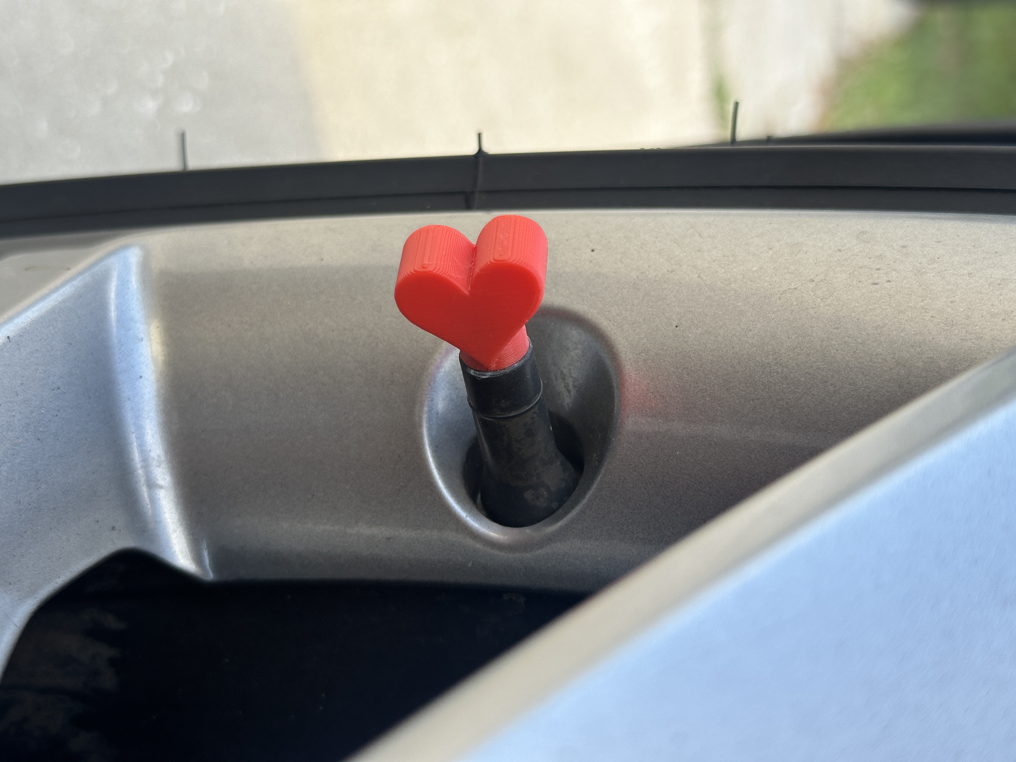 Heart Valve Stem Cap
