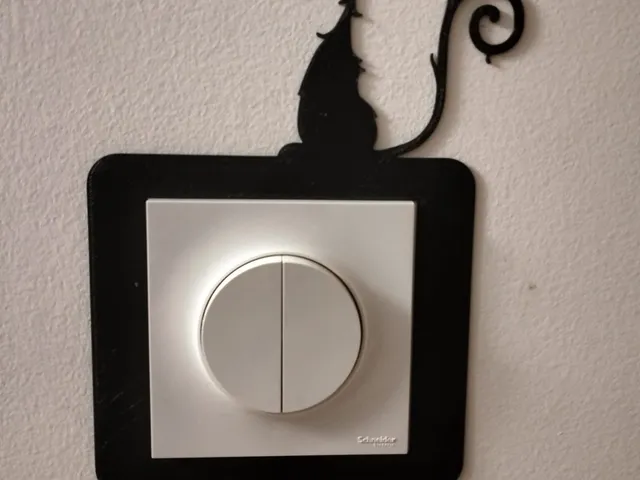 Cat Cache inter light.