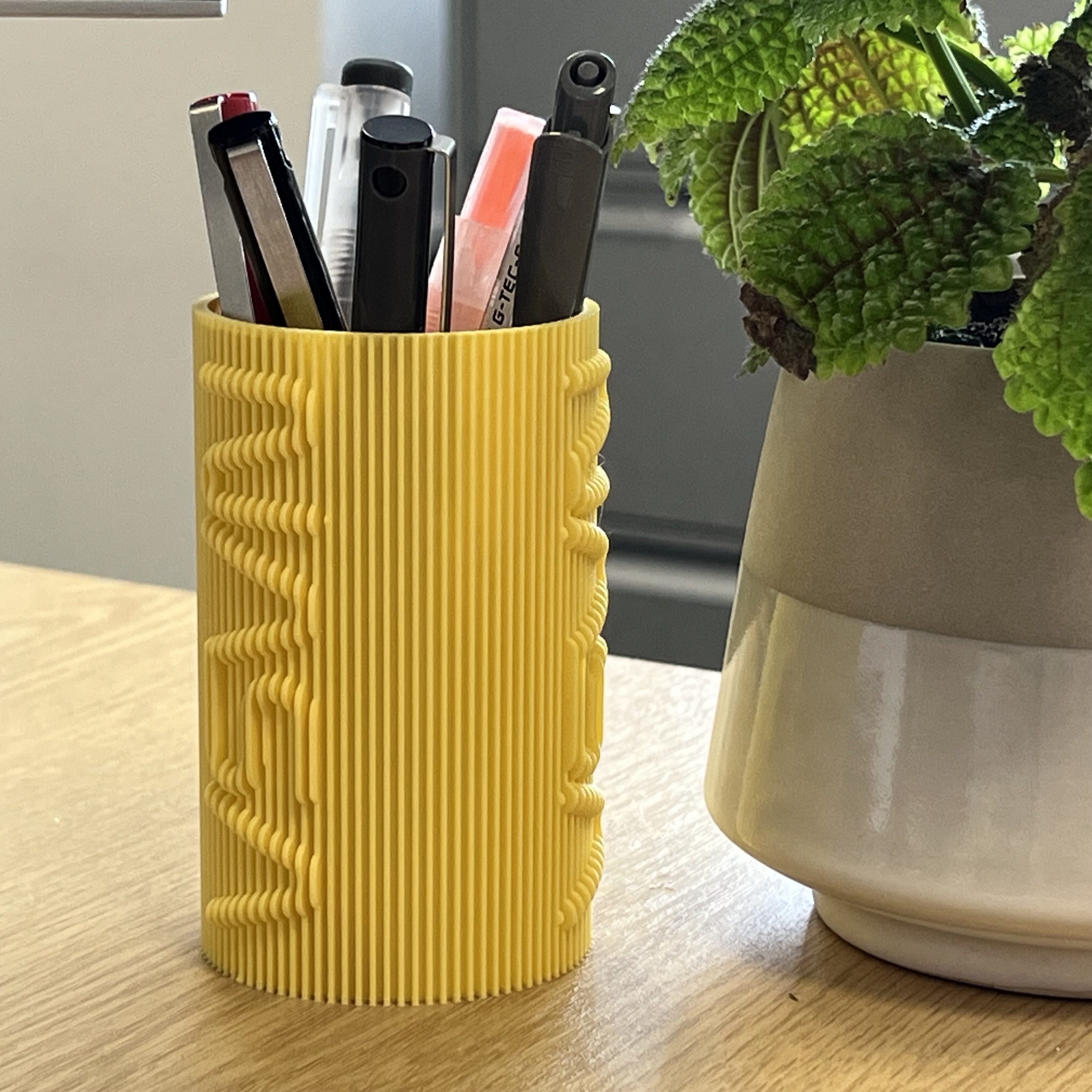 Ribbed Pen Pot NASA Worm (Vase Mode)