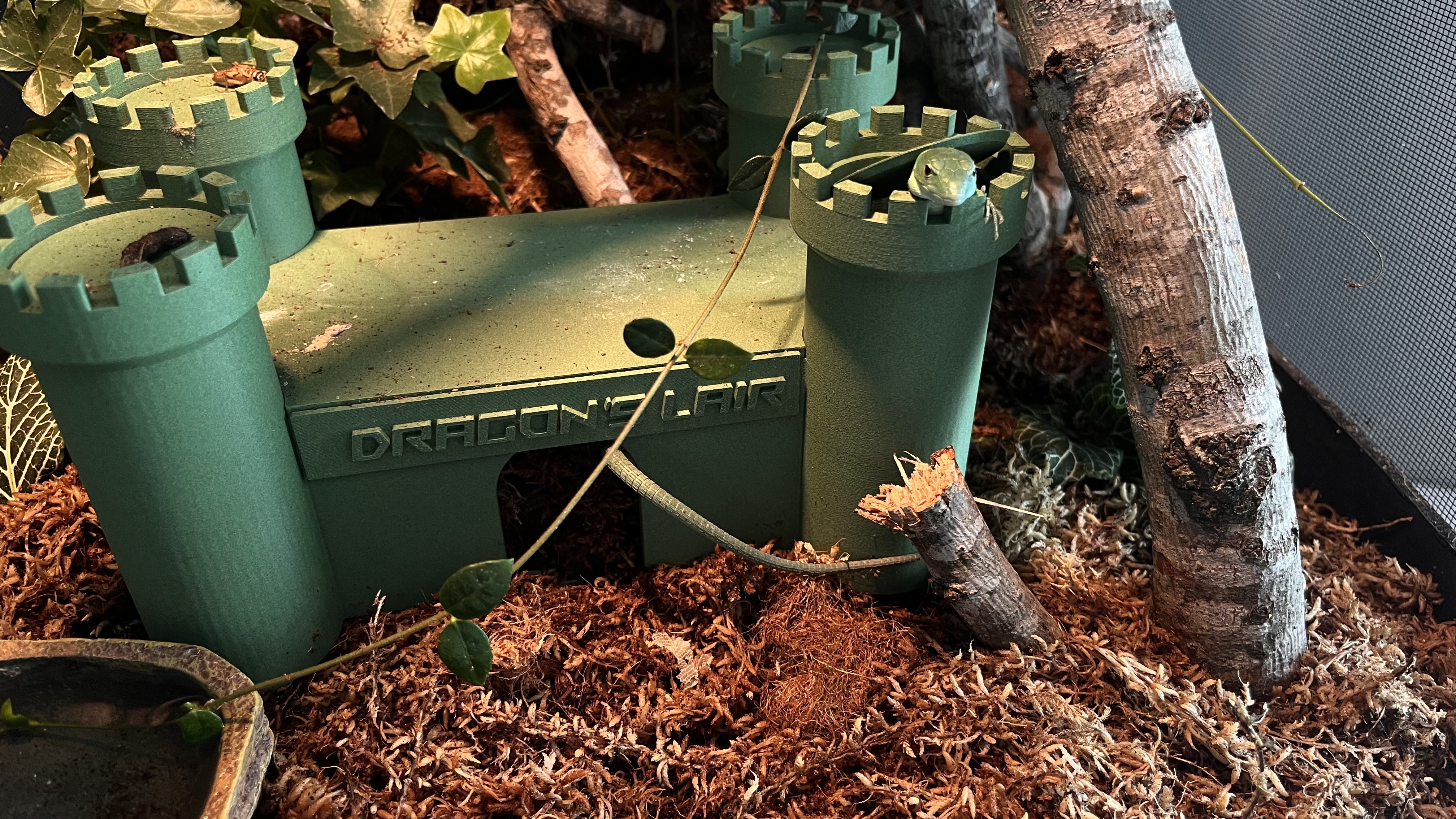 Castle Reptile Hide