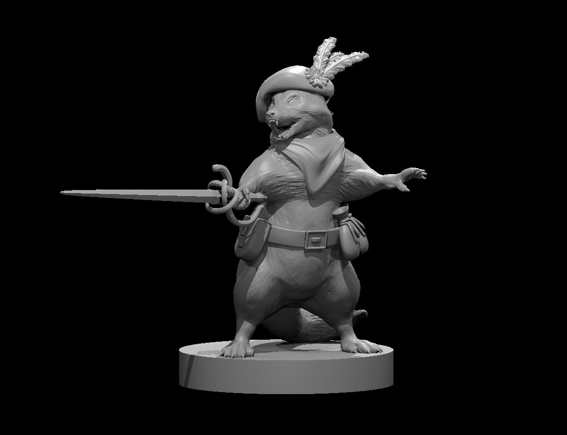 Raccoon Swashbuckler