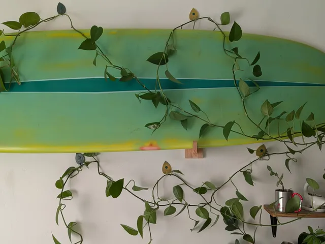 Leaf Shaped Wall Hanger for Vines