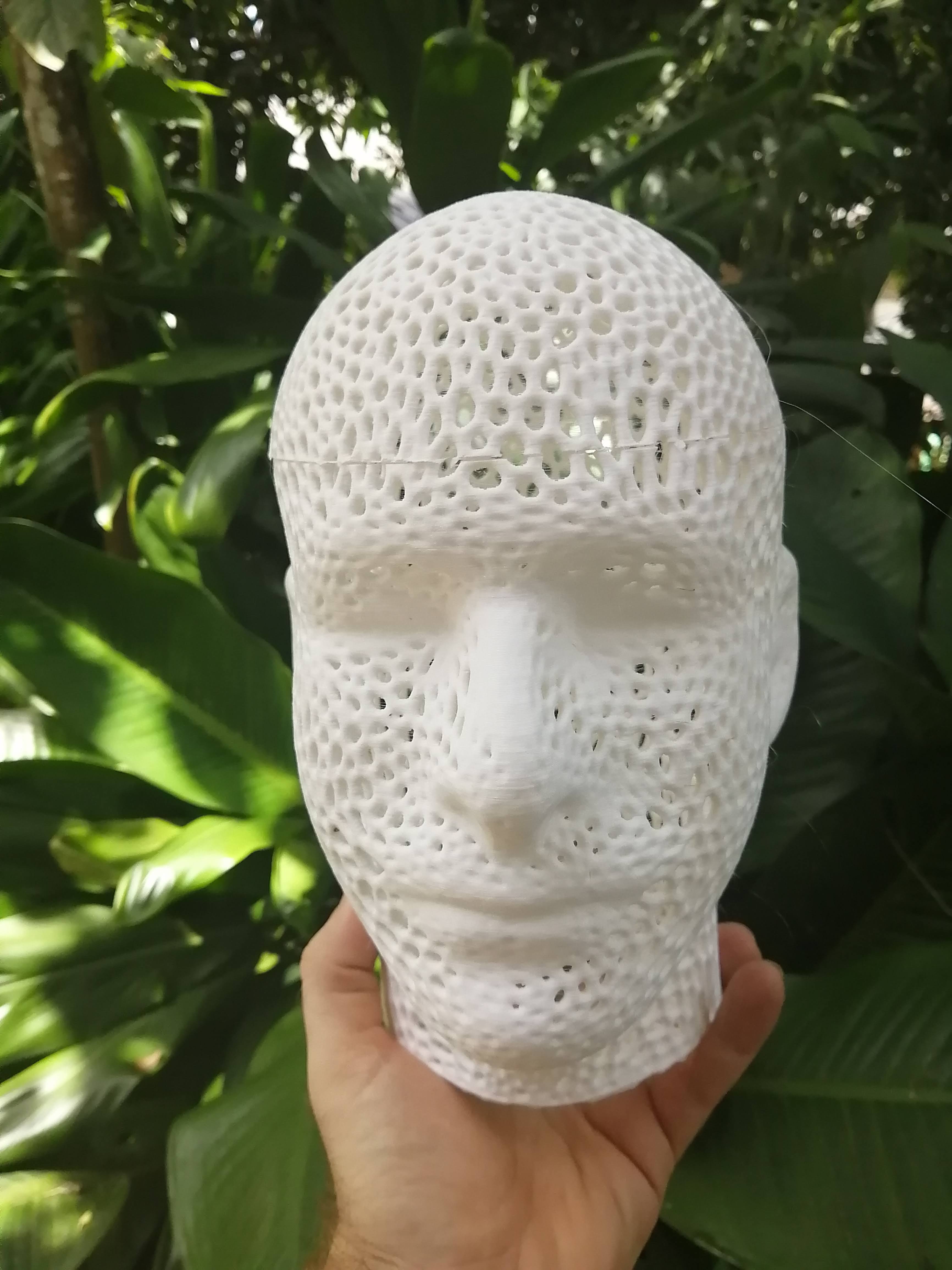 Full Sized Voronoi Head