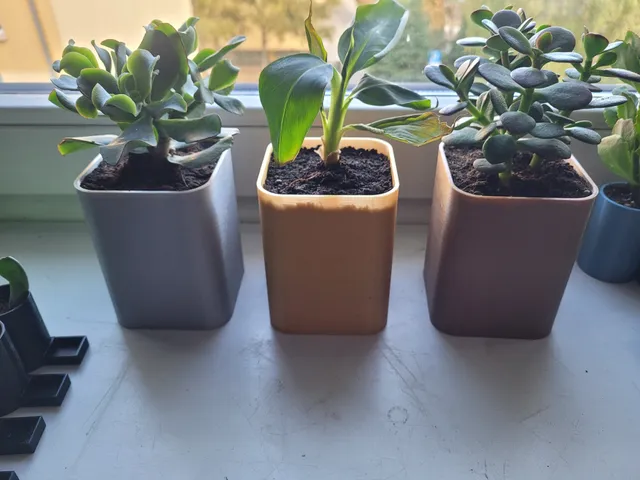 Flowerpot with drain