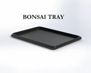 BONSAI TRAY