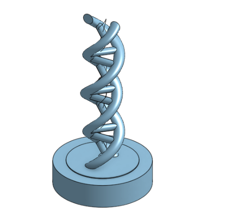 Dna Model by 3dgar | Download free STL model | Printables.com